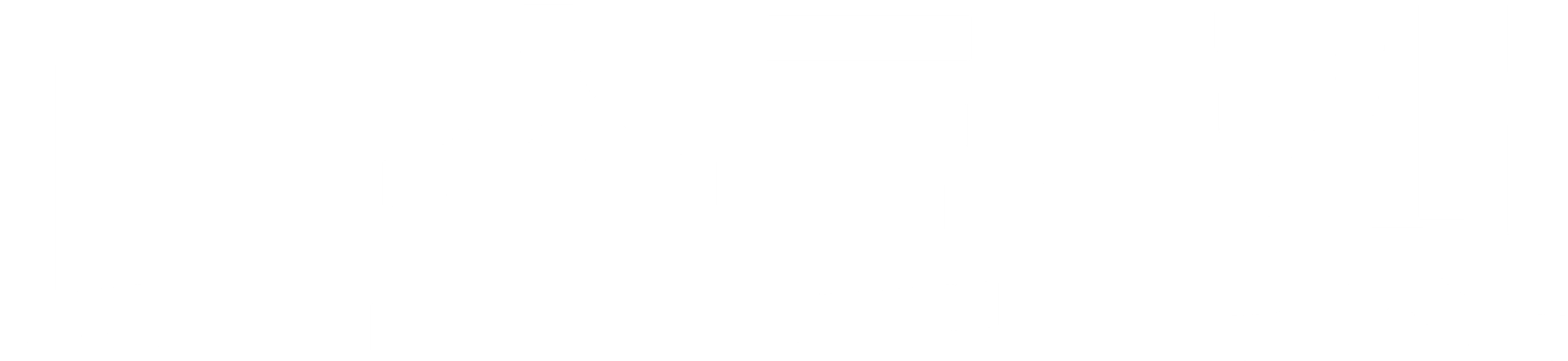 미스터 캣