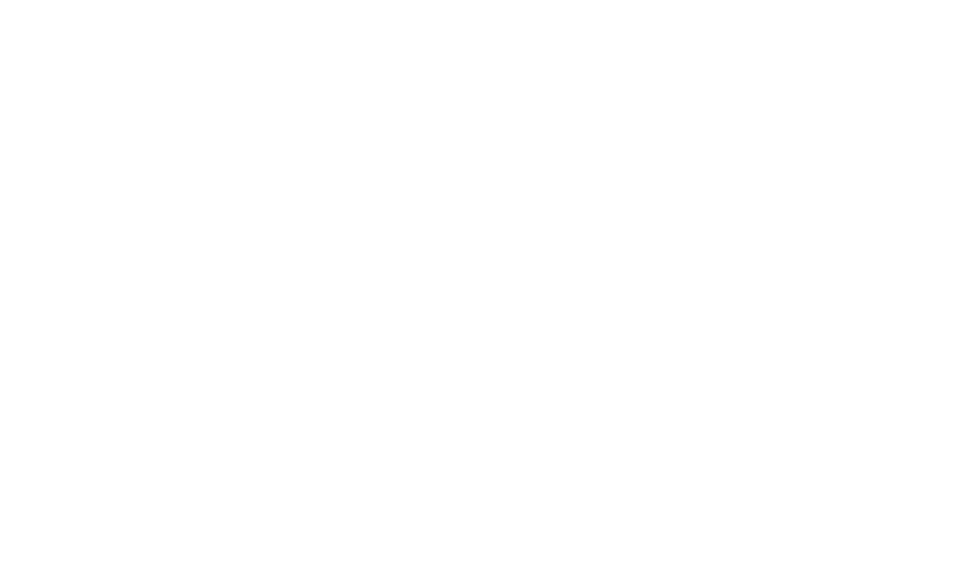 주선