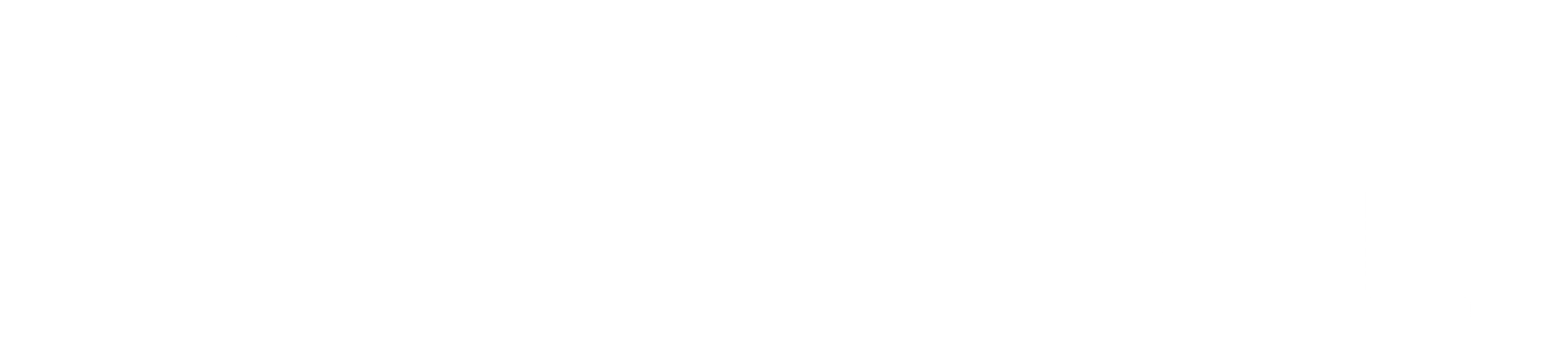 거대한 서부