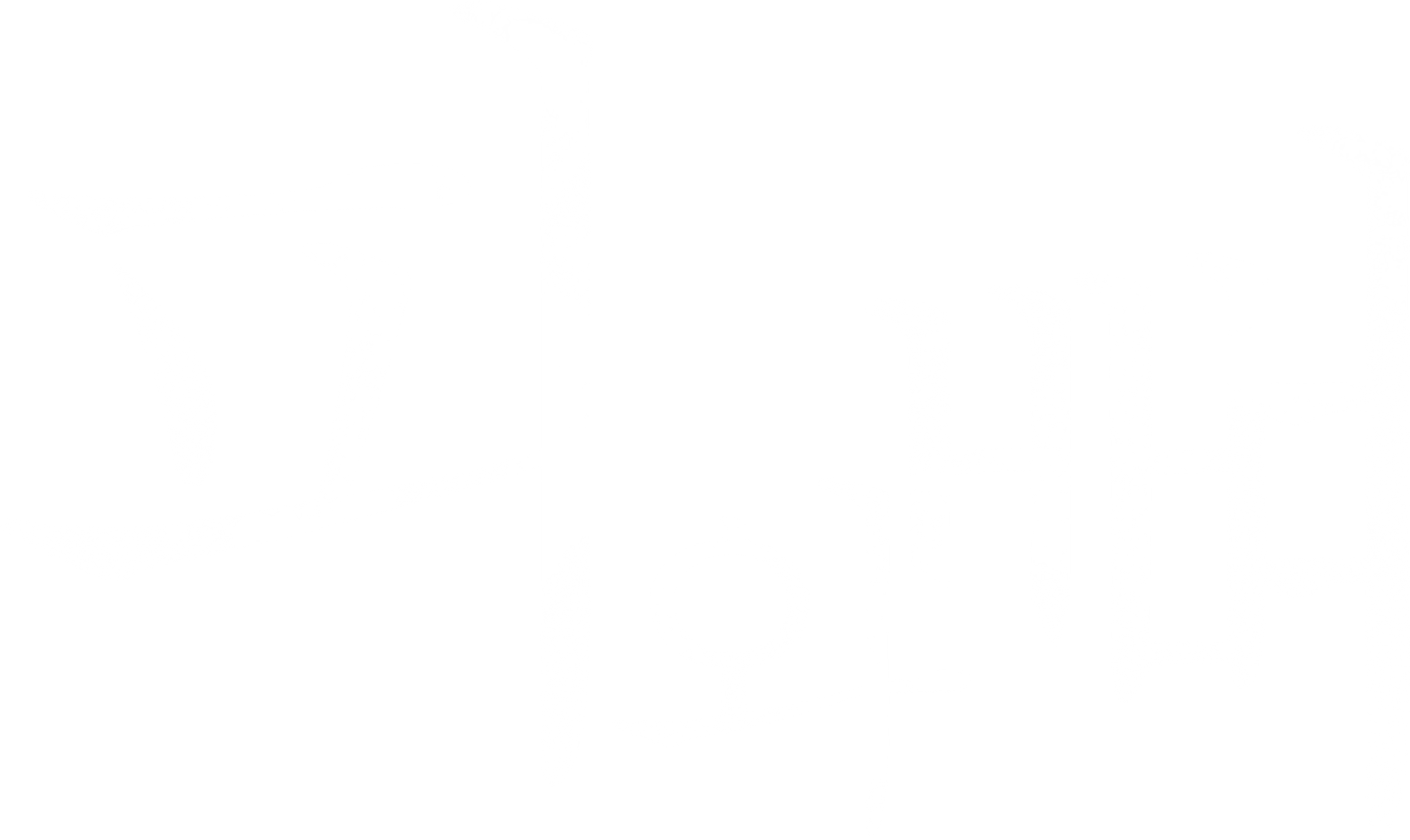 피와 뼈