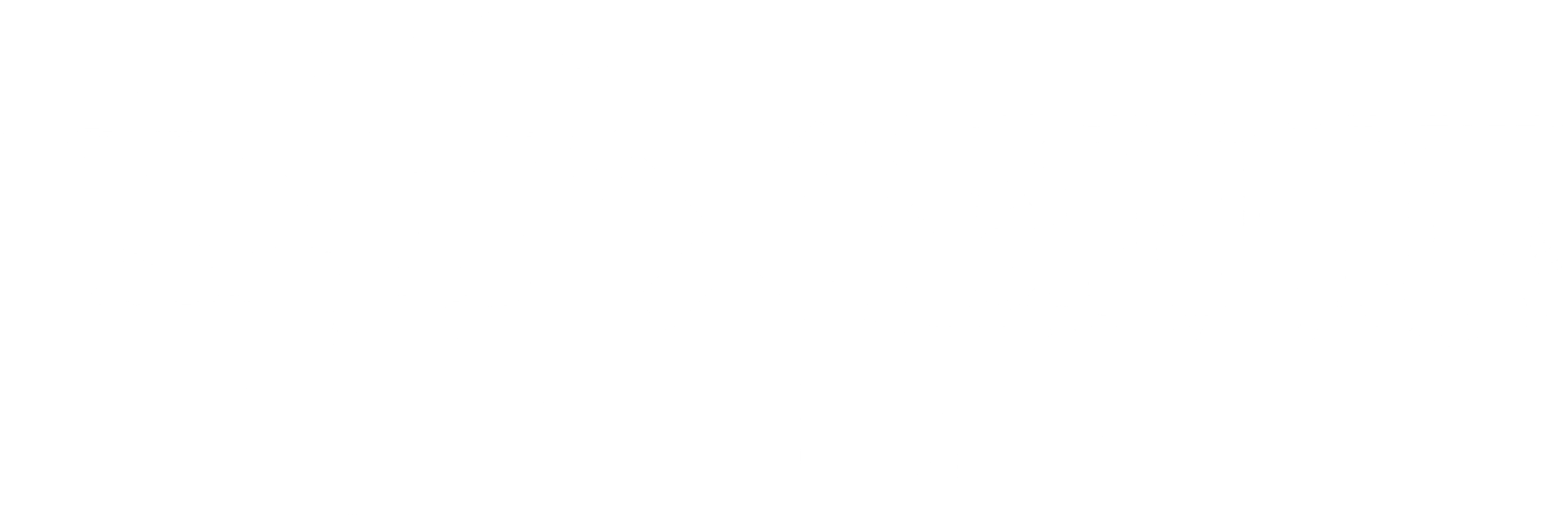 토리코X원피스 : 해선열매 헌팅작전