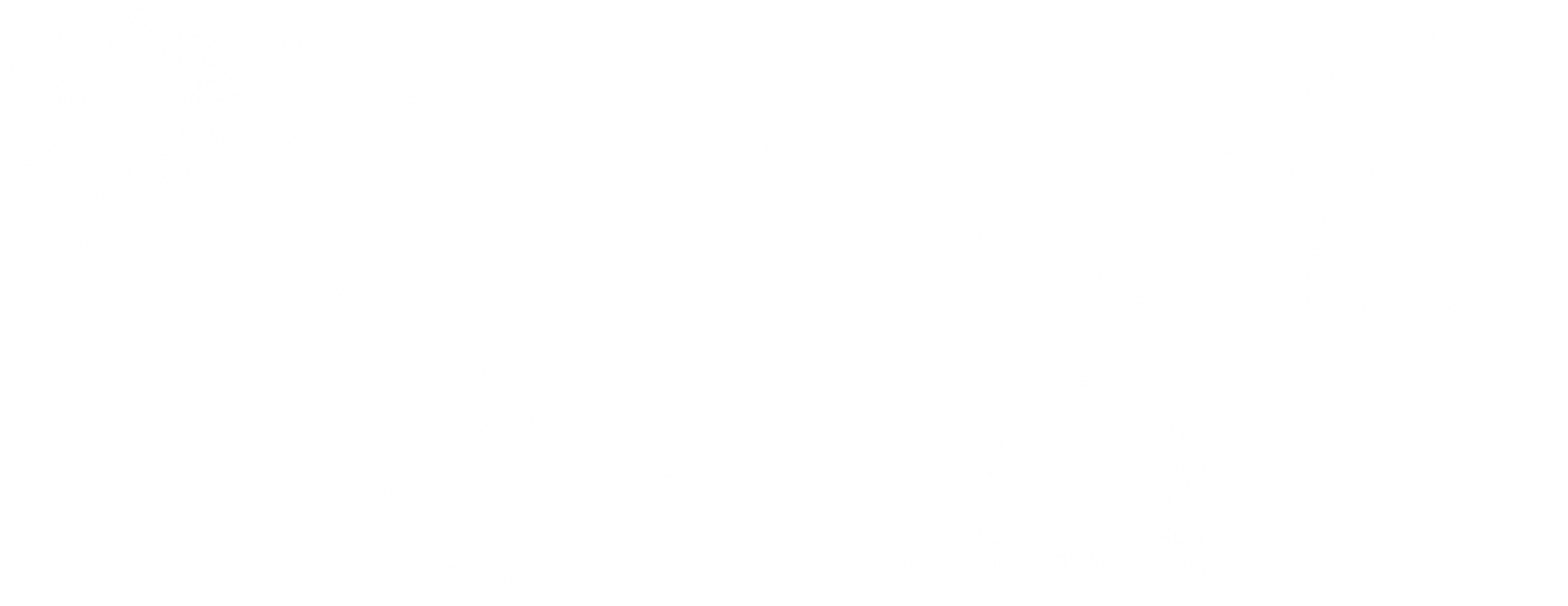 인베이젼 스펙터