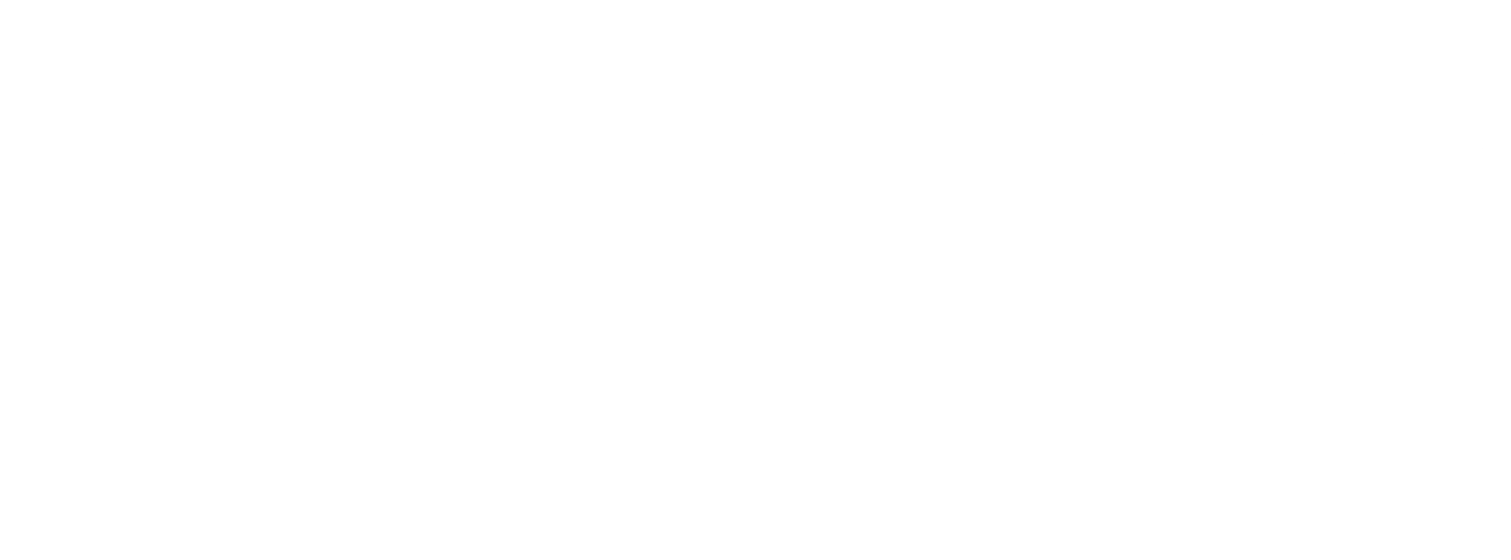 시간을 달리는 소녀