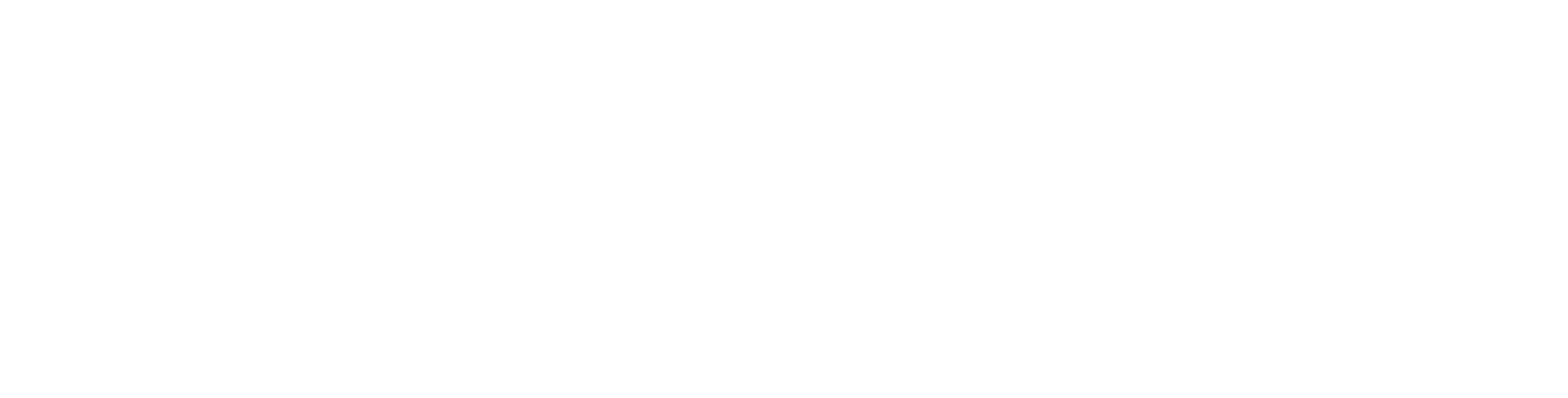 더 스토닝