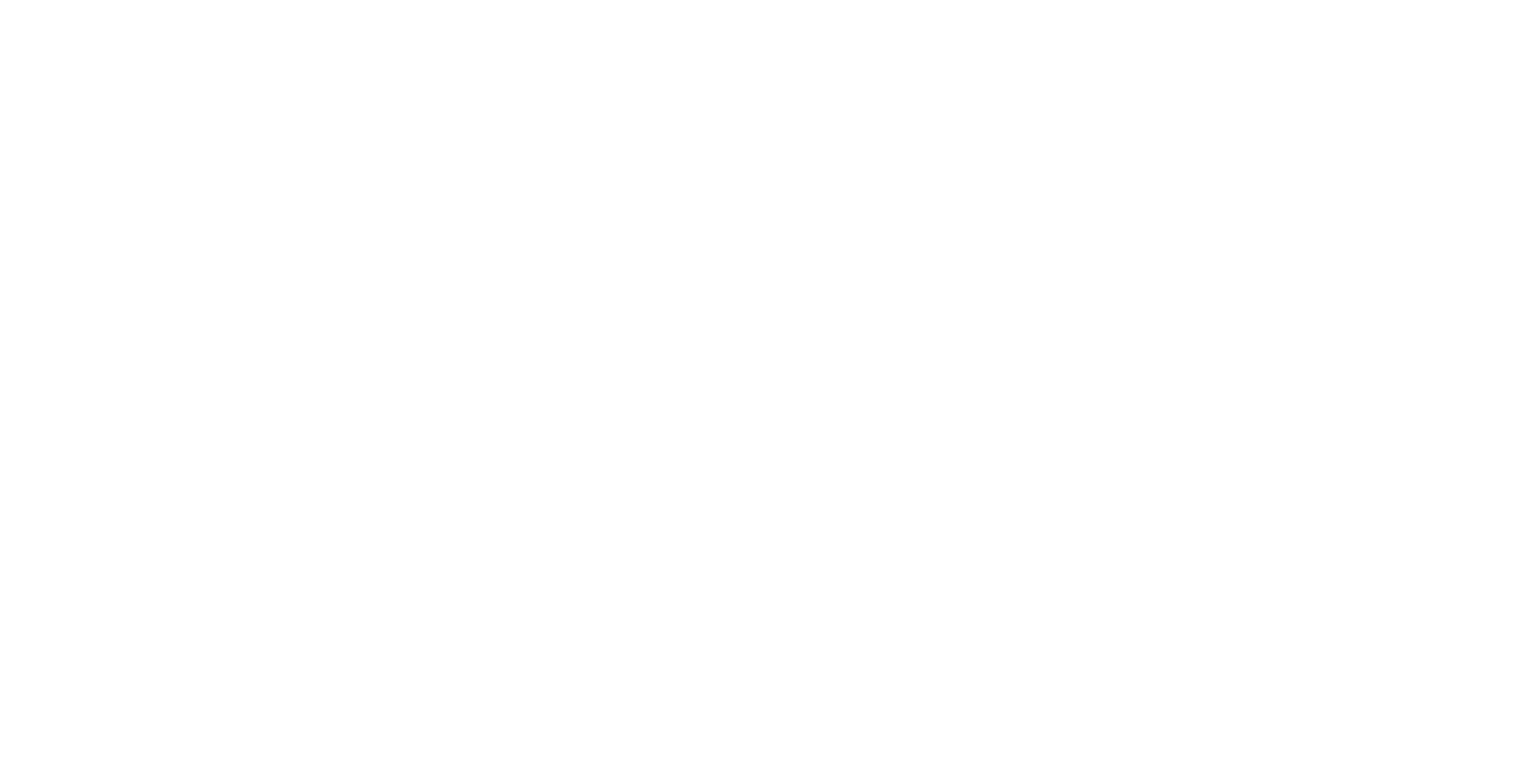 노는브로