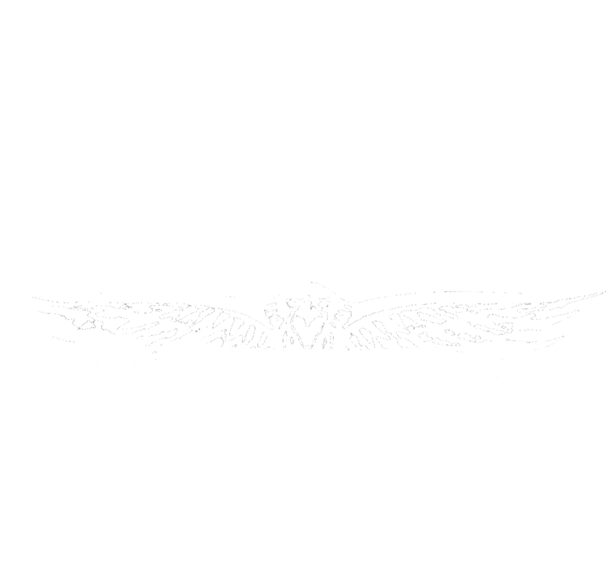 극장판 파워레인저: 애니멀포스 VS 닌자포스 미래에서 온 메시지