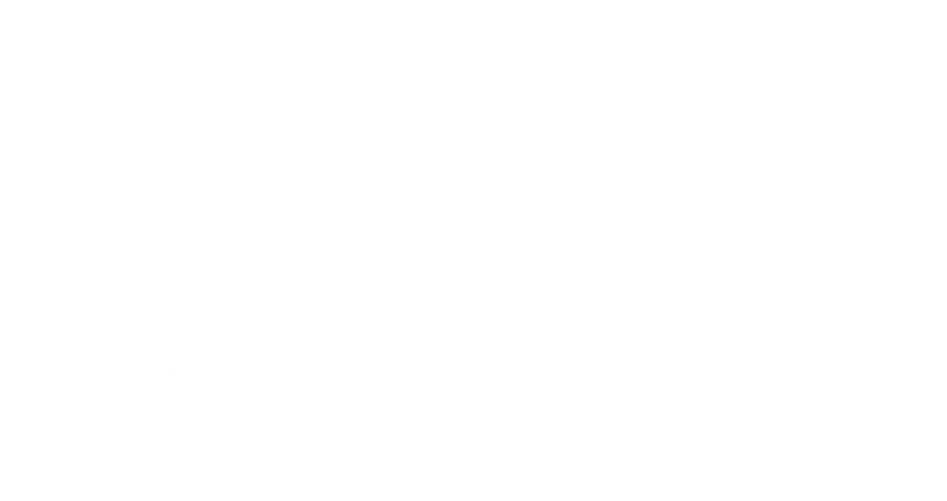 추룡