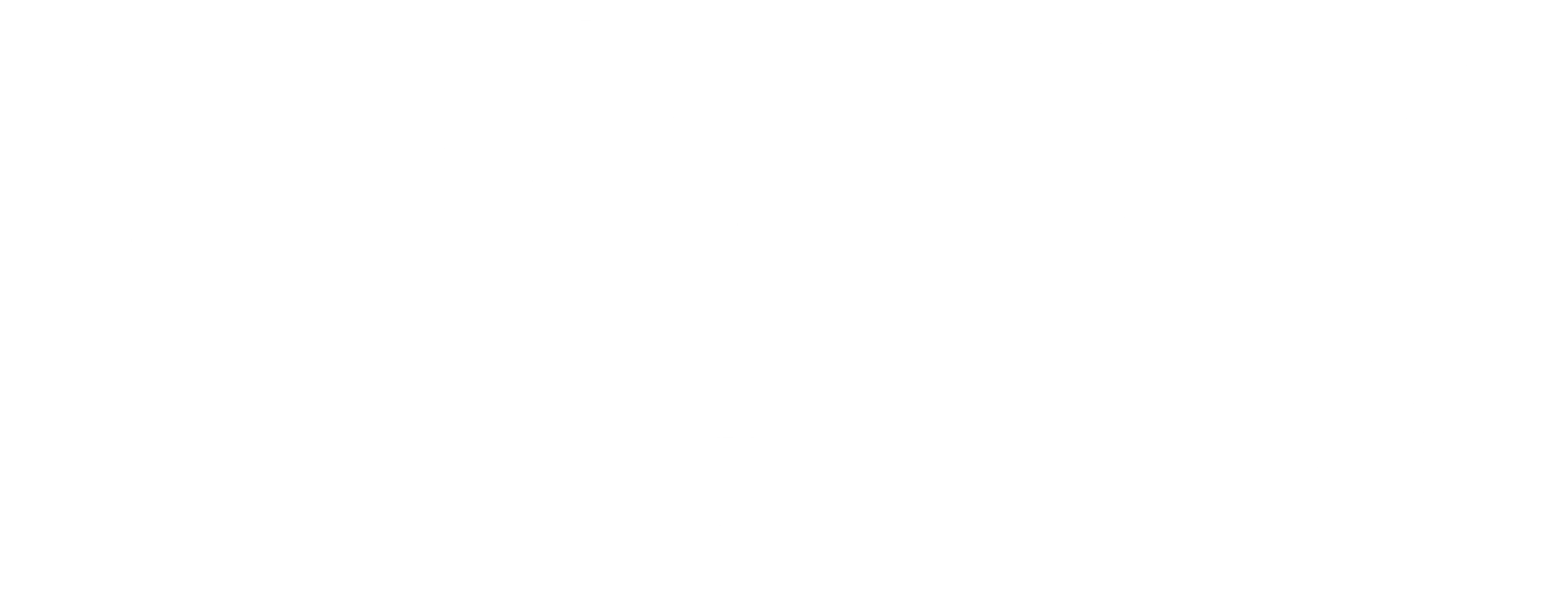 나나 2