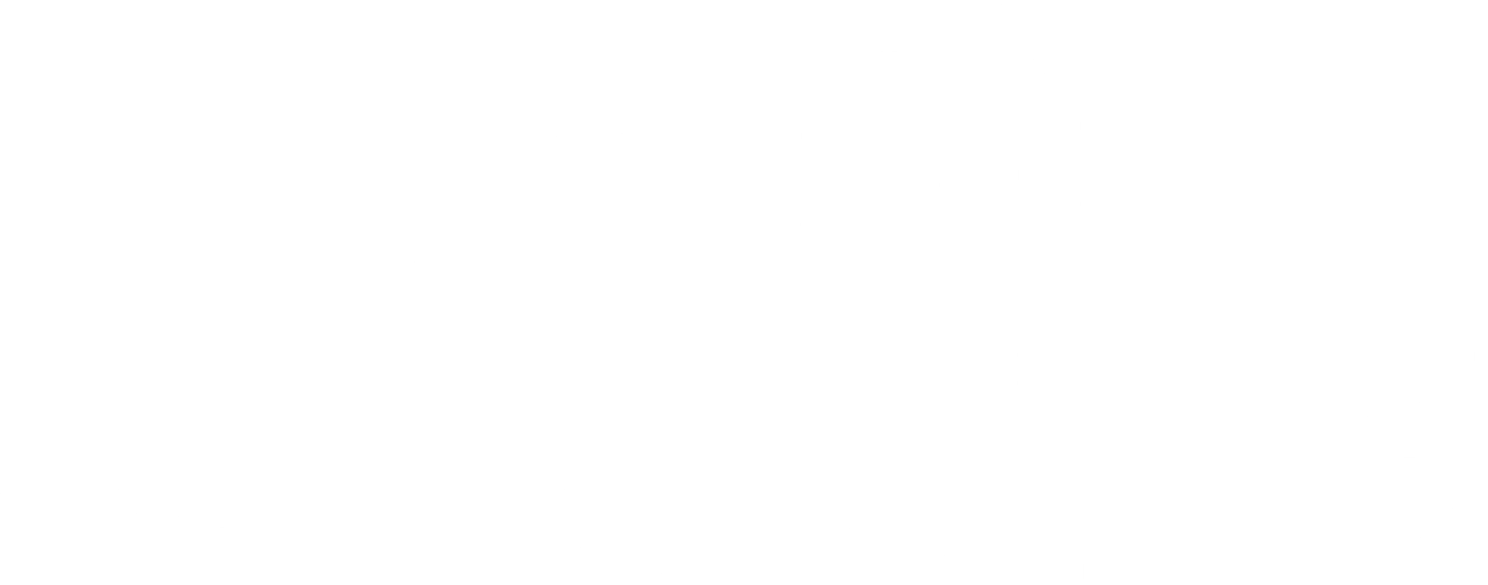 절대 무림 신공