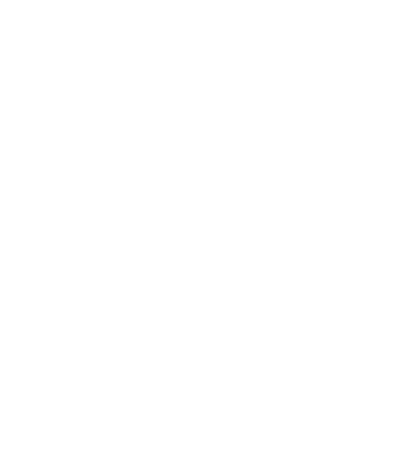 홀리