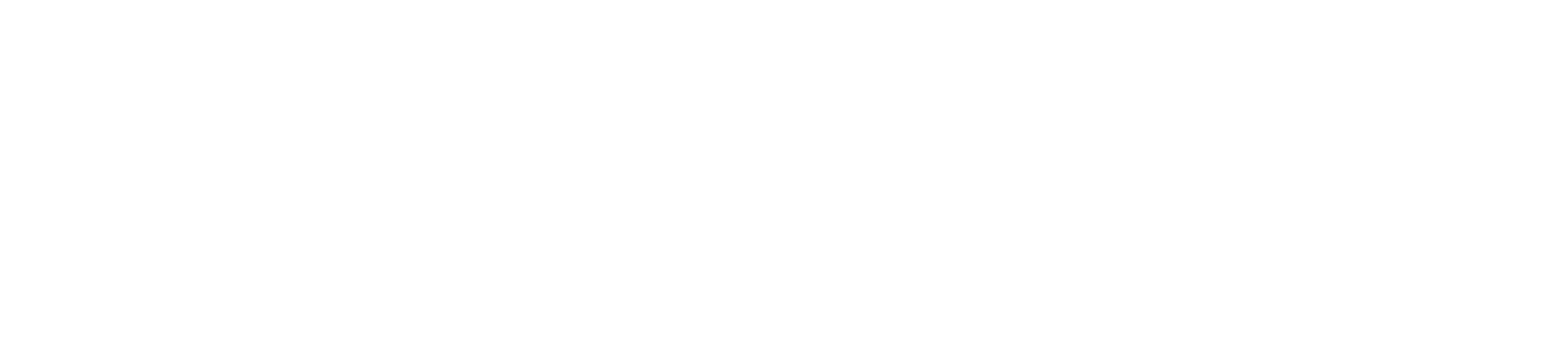 신데렐라