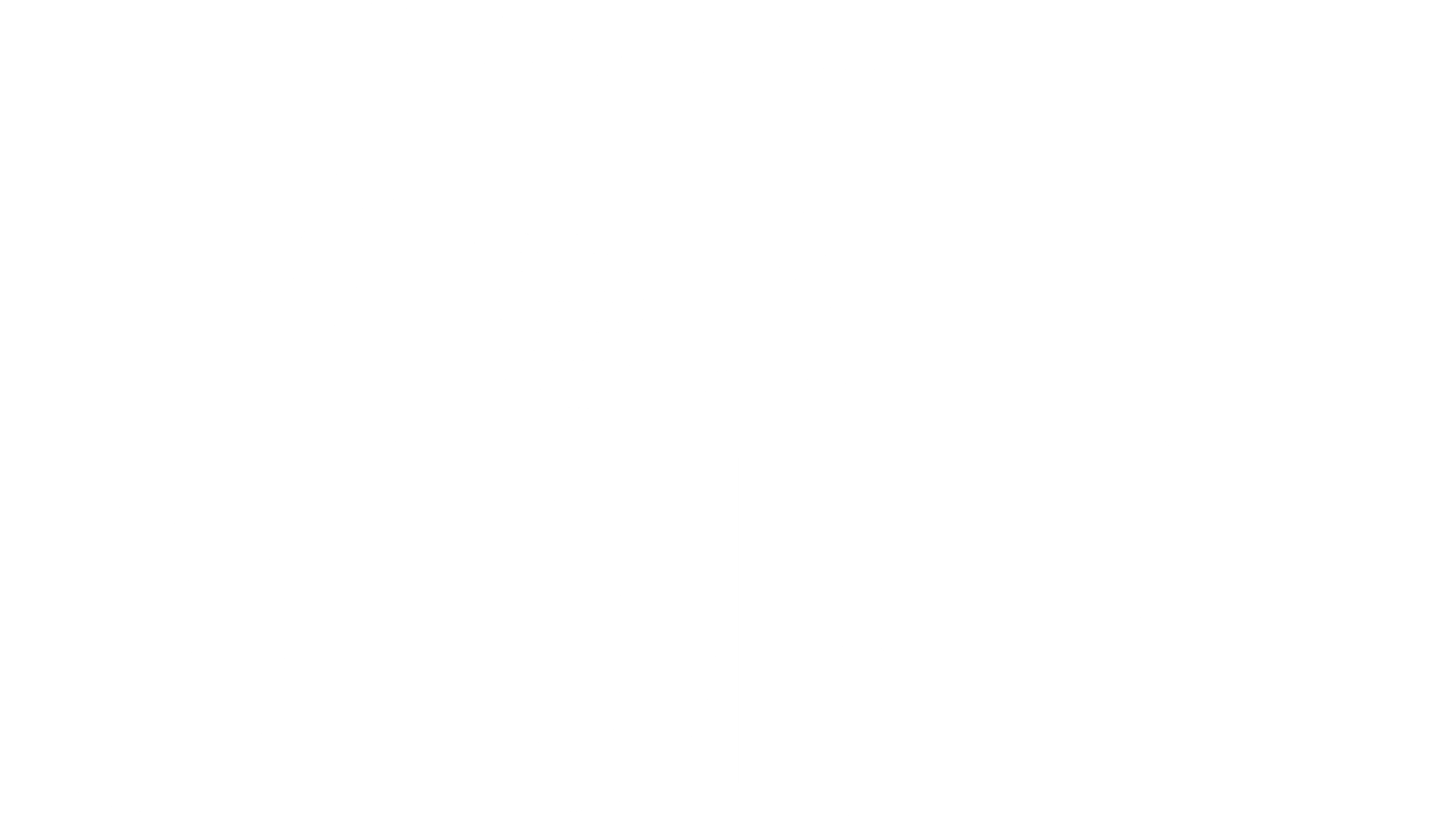 전선 위의 참새