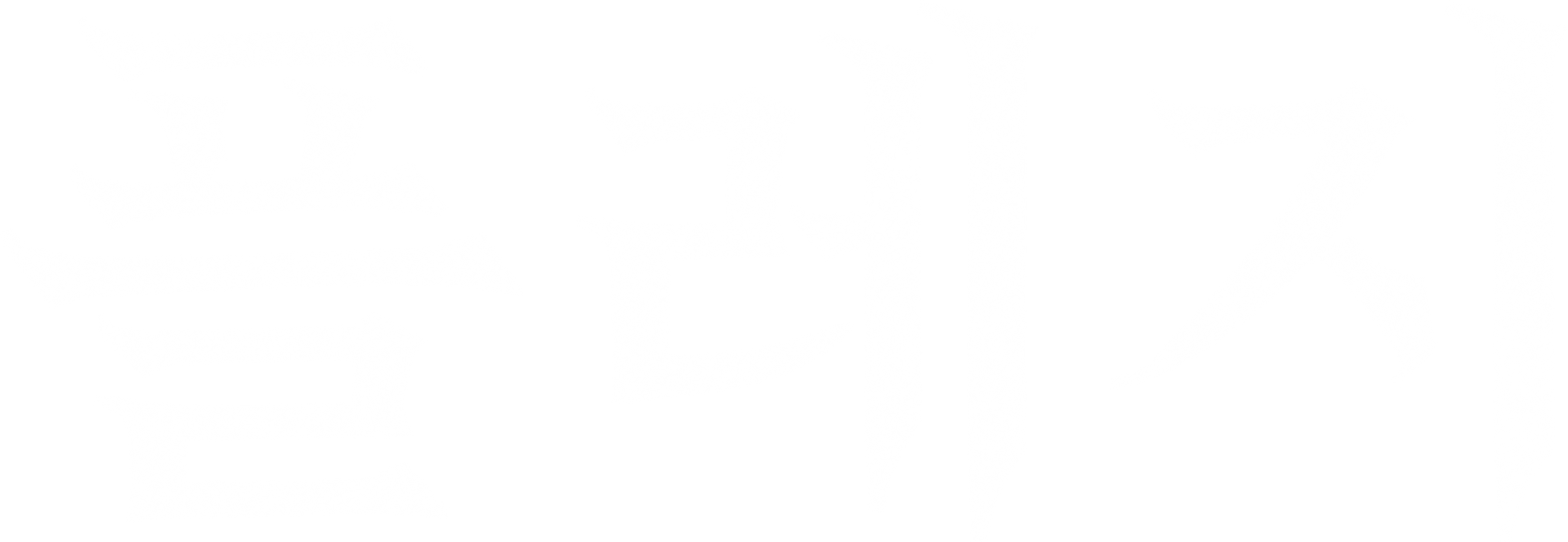 플레지