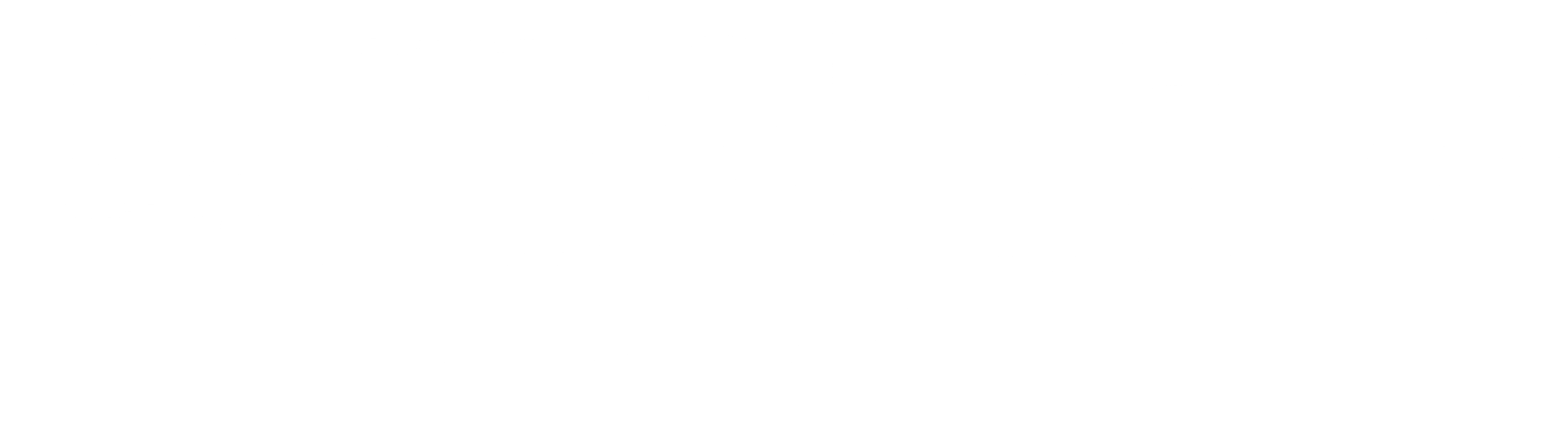흑조의 호수