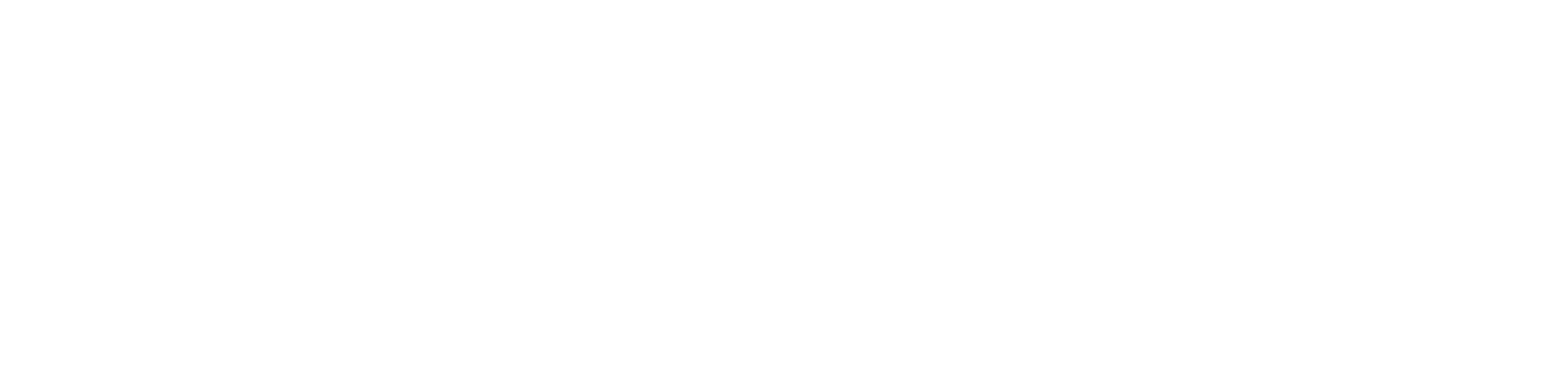 바디핏 발레핏