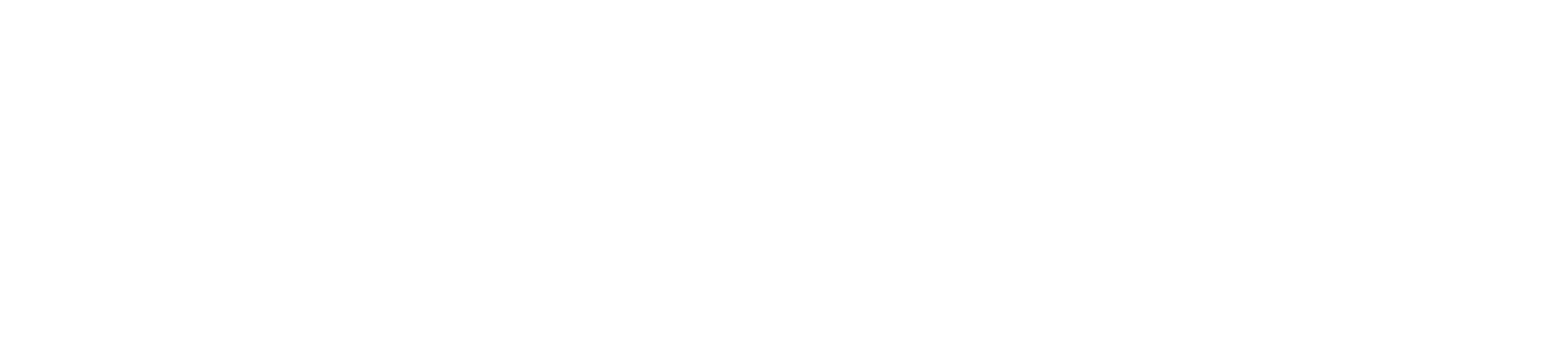 검은 모자