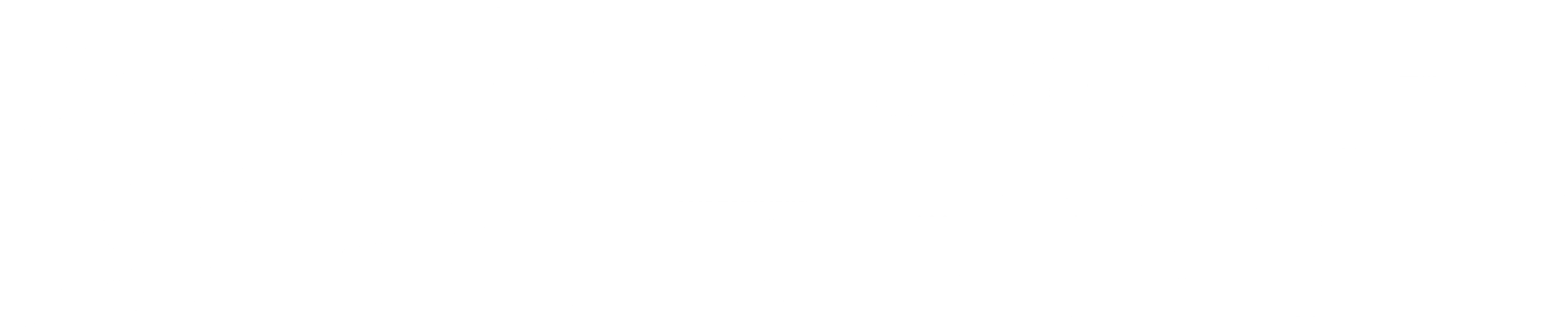 로니를 찾아서