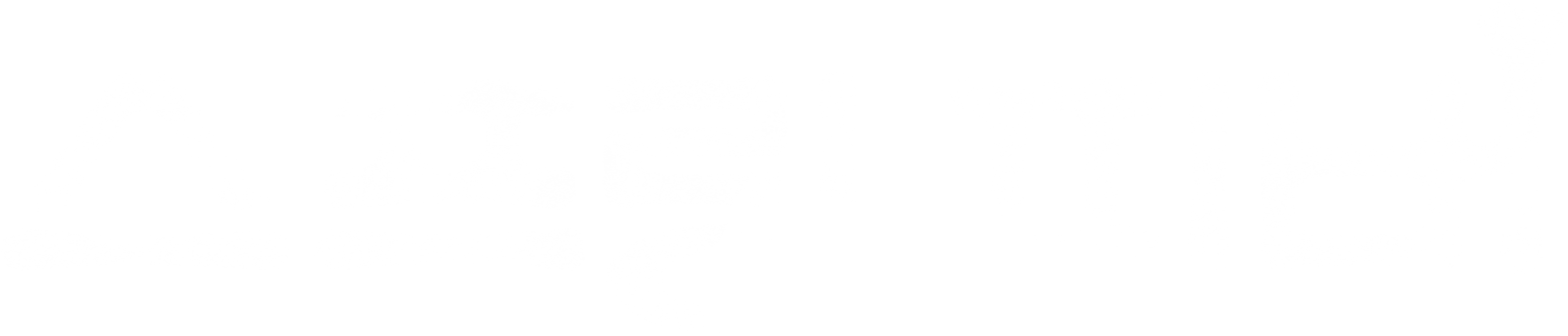스프링 피버