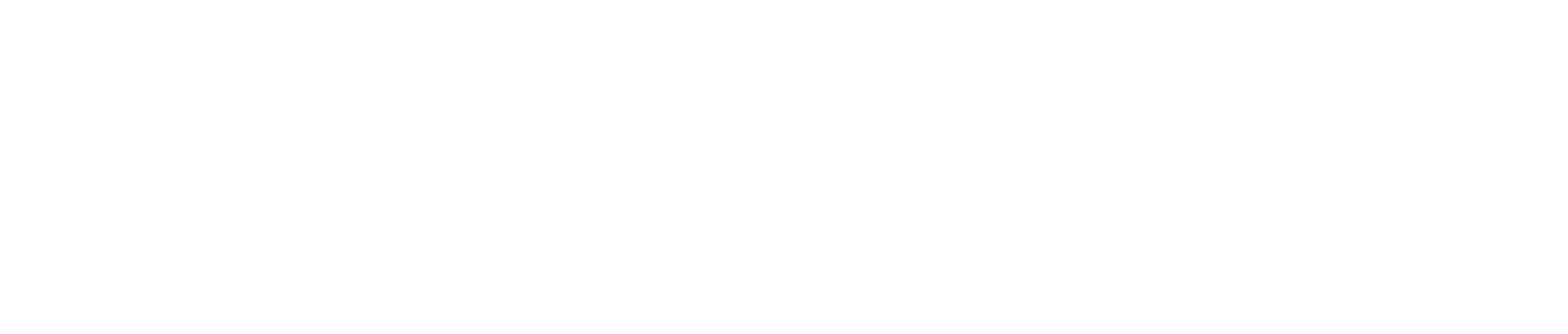홀리워킹데이
