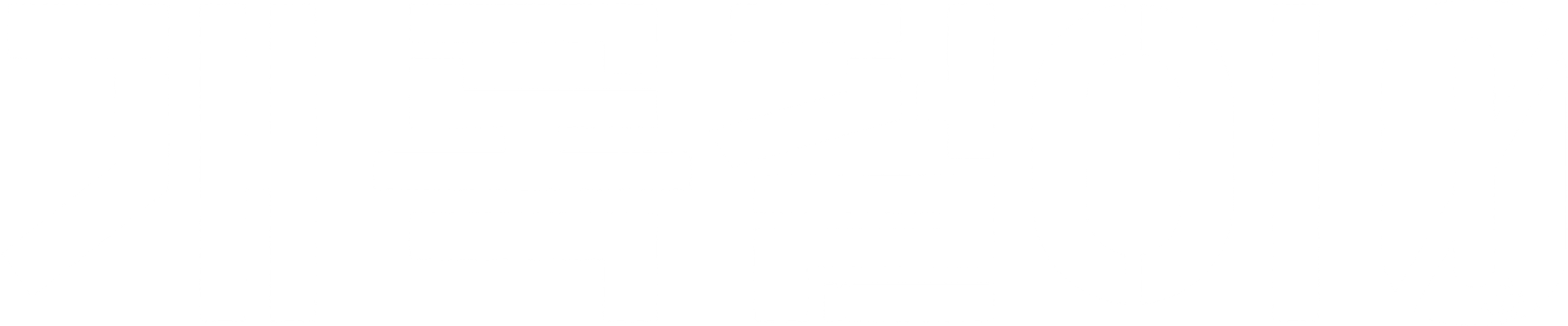 개목걸이 0
