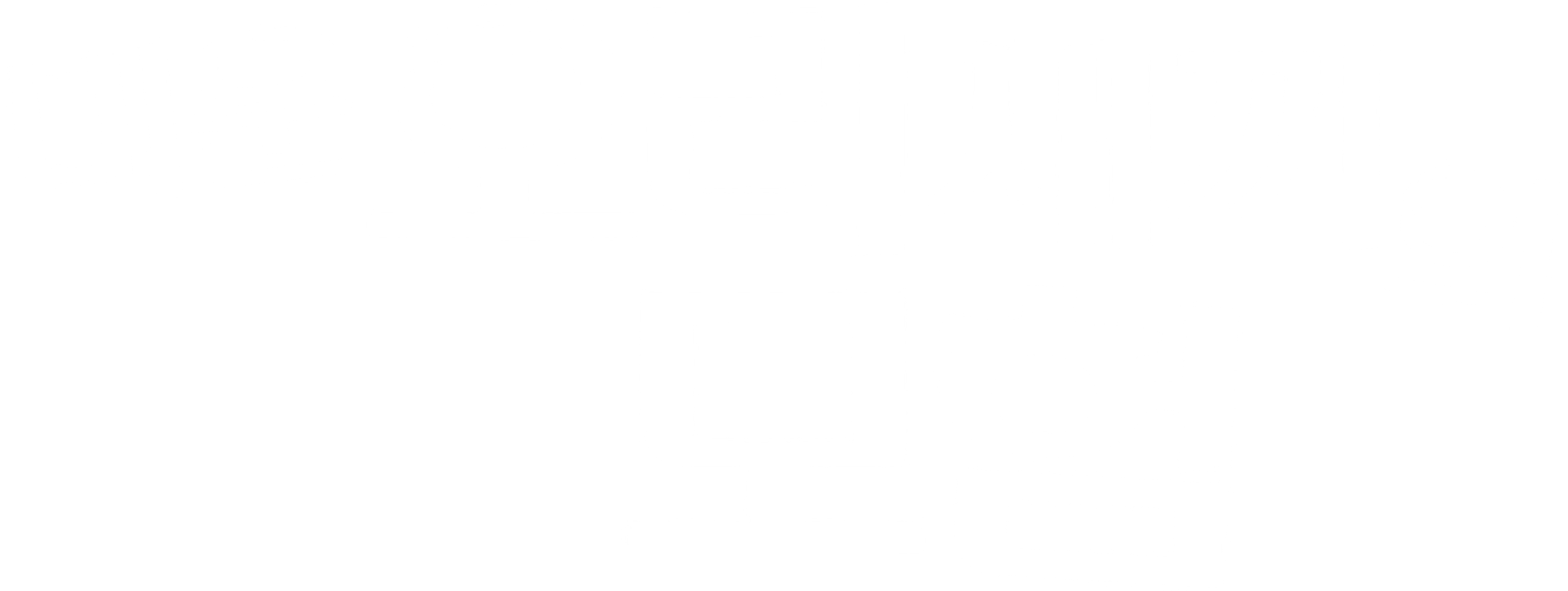 미운 오리 새끼의 모험