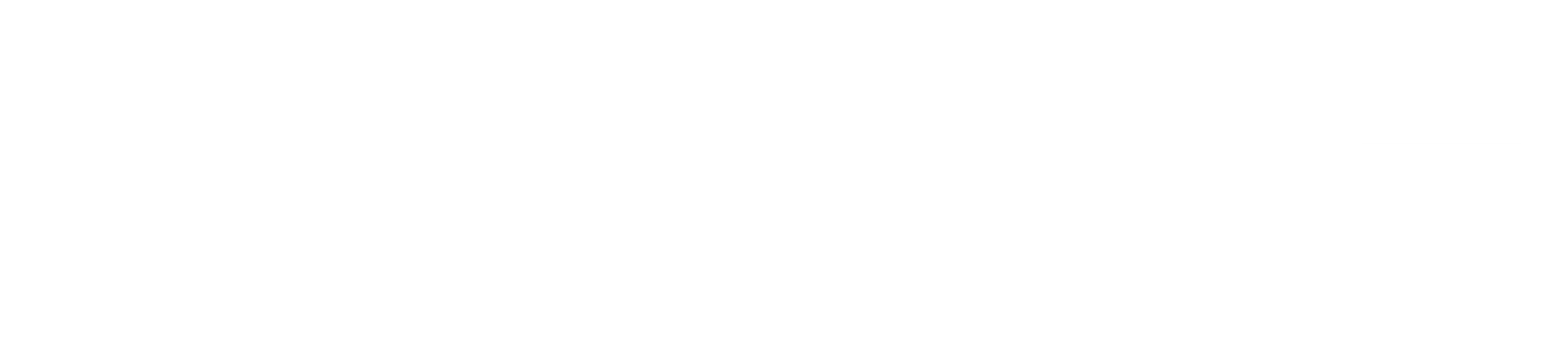 본 투라이드