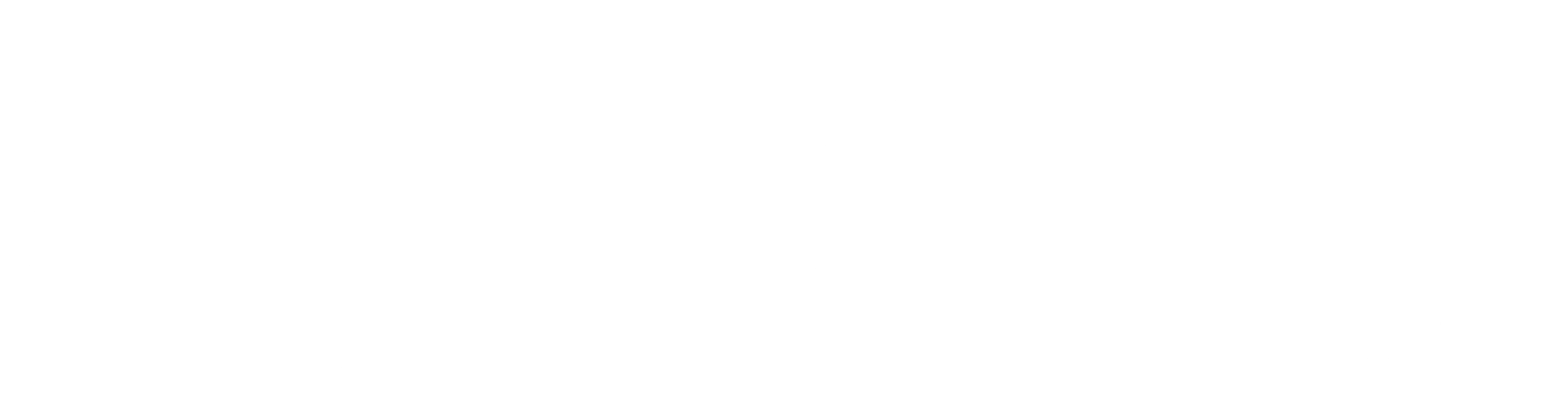 나폴레옹