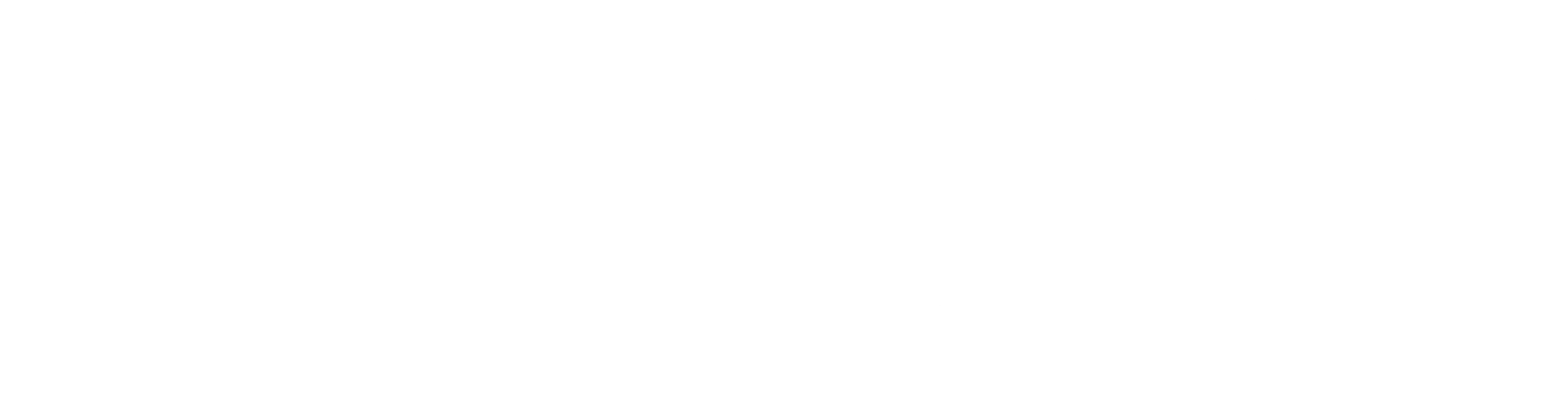 애인동지
