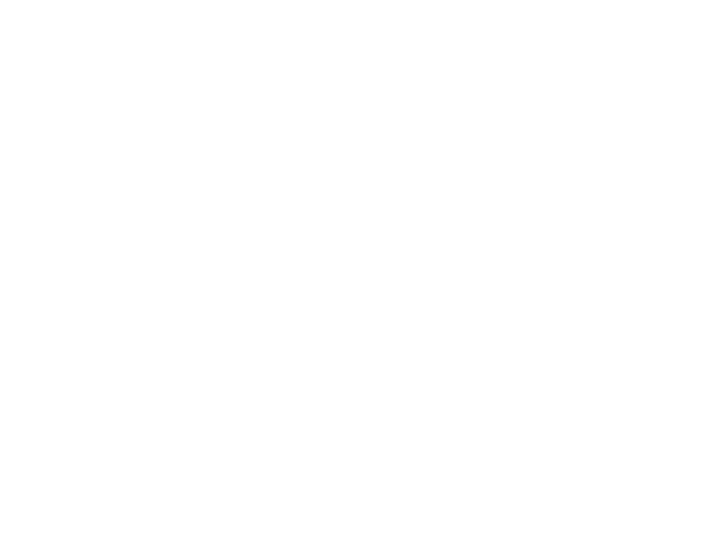 스타 이즈 본