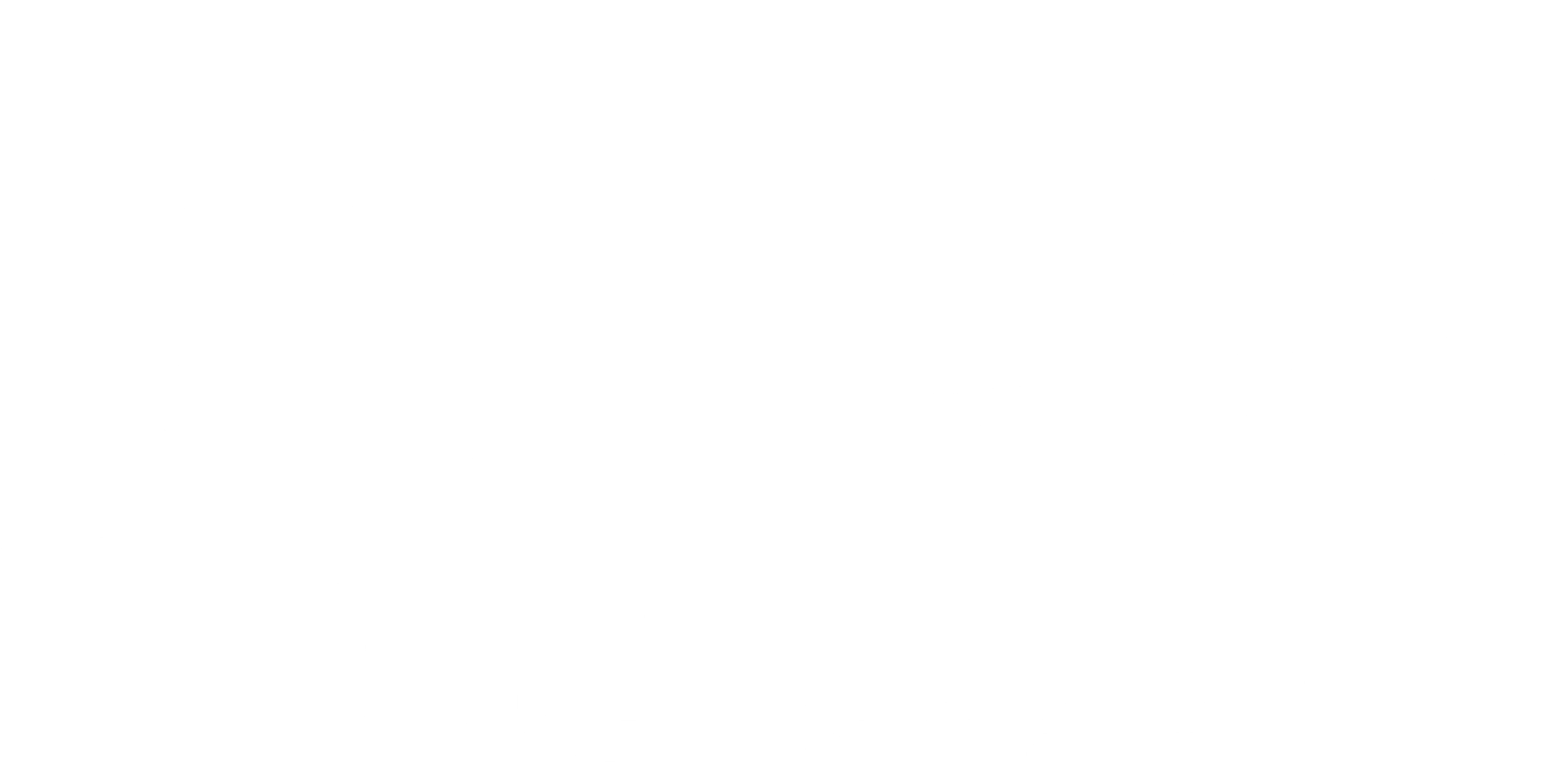 백야행: 하얀 어둠 속을 걷다