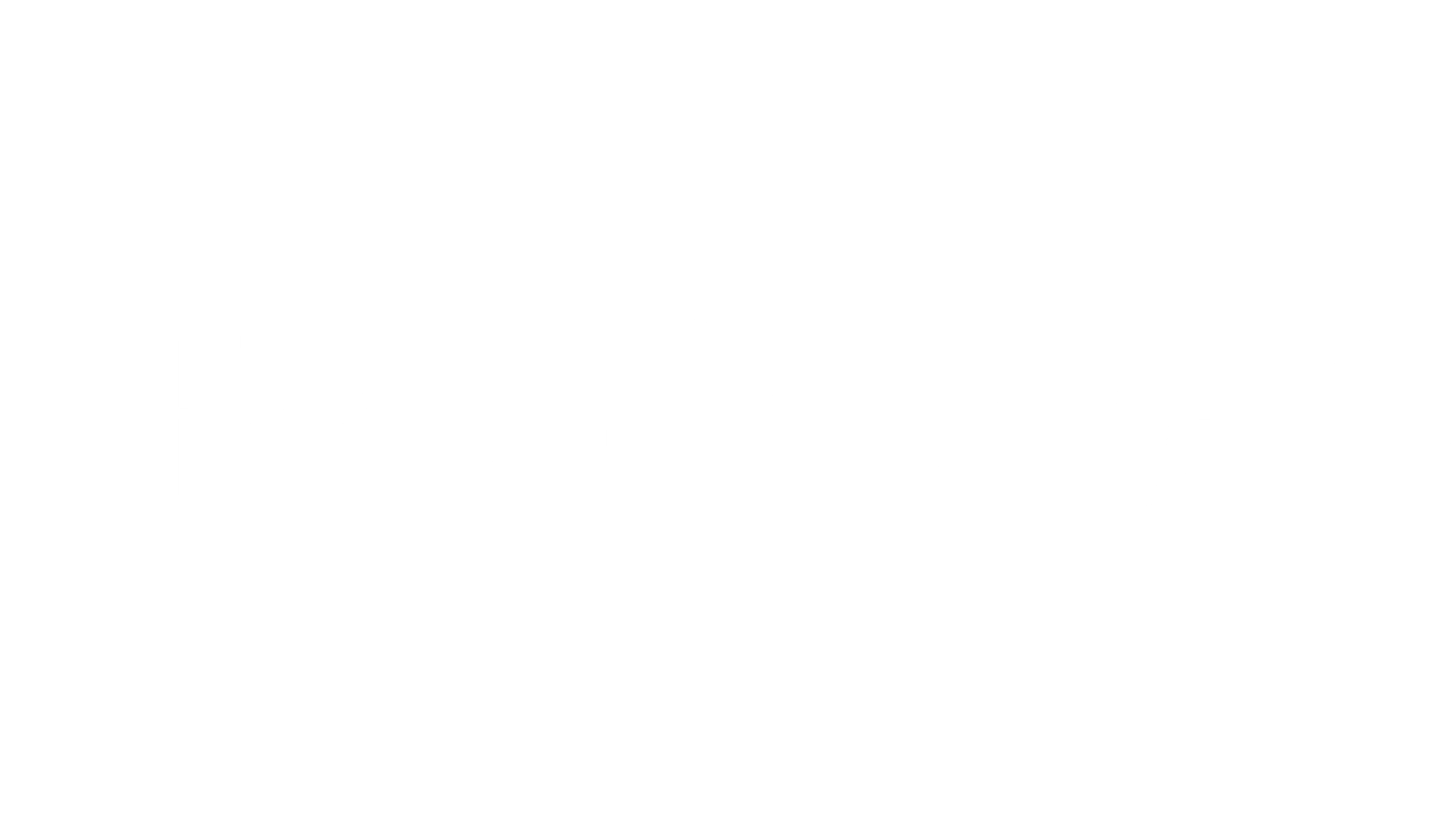 나 홀로 집에 2: 뉴욕을 헤매다