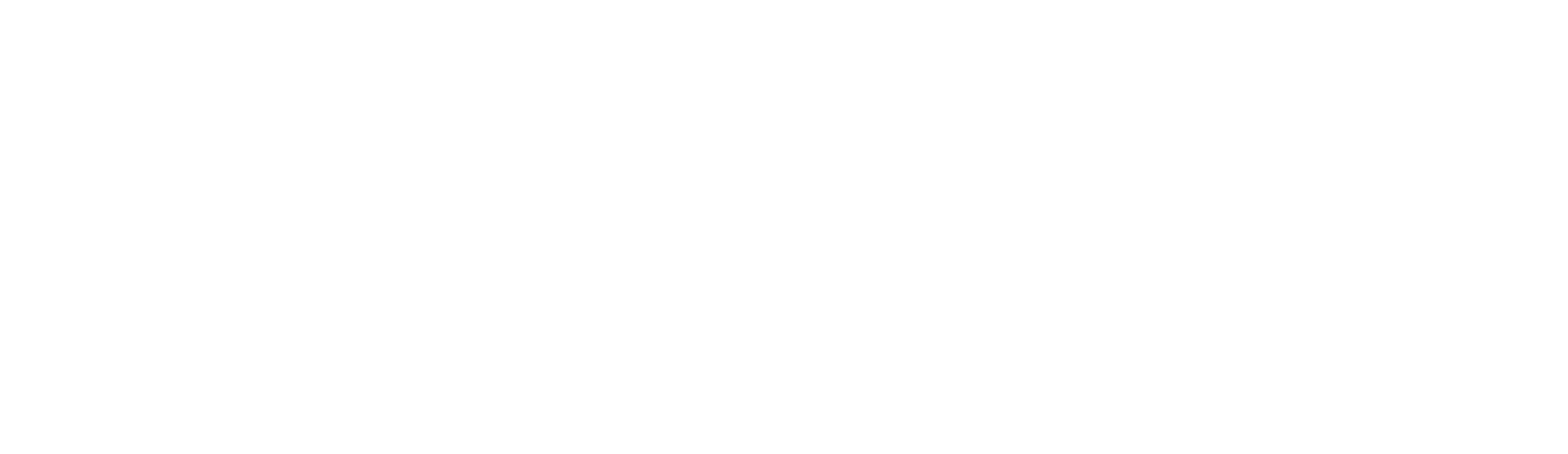국화꽃 향기