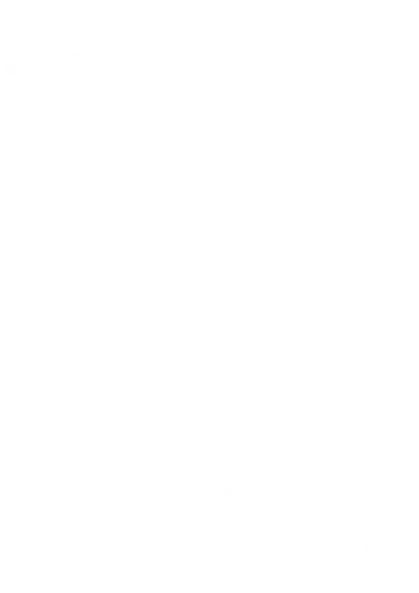 다모