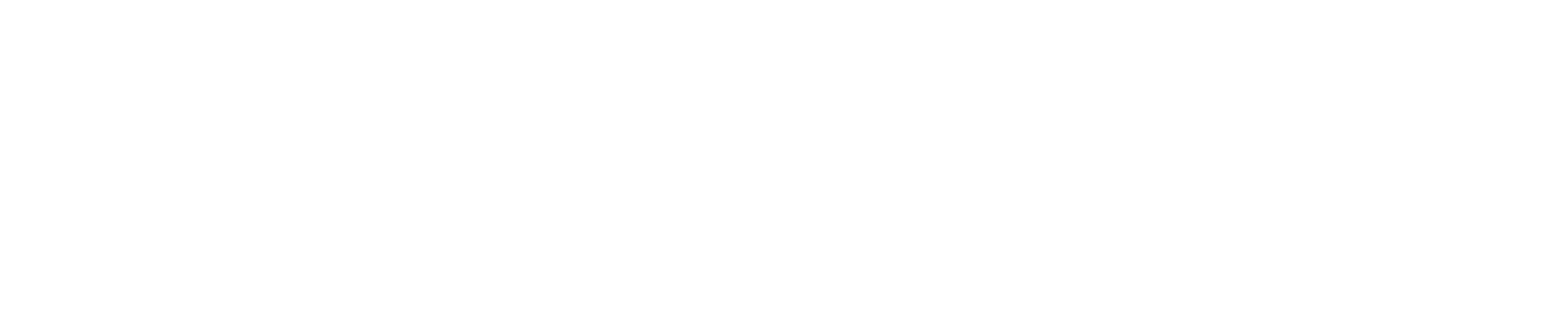 스트리커