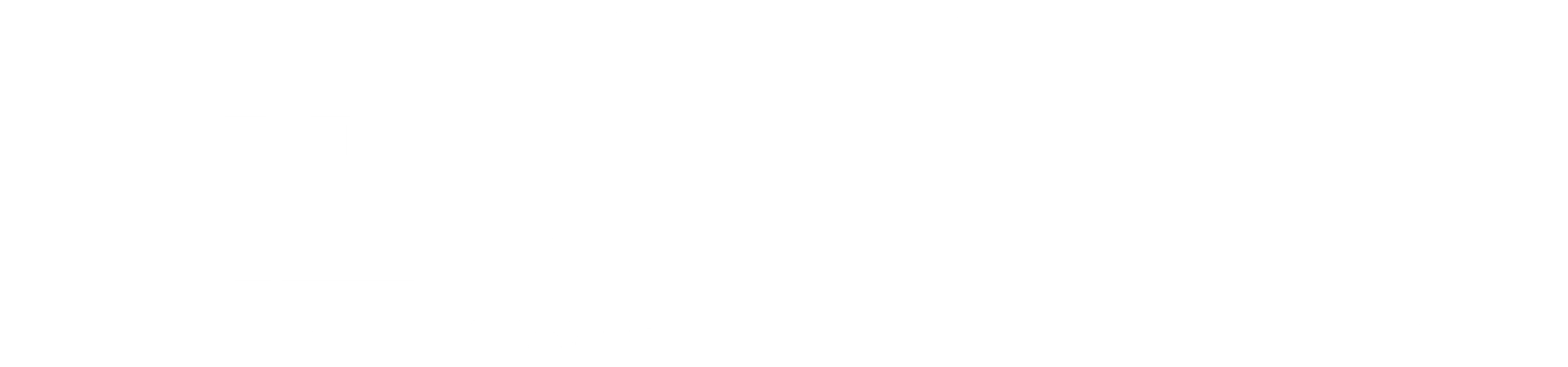 작전 레닌그라드