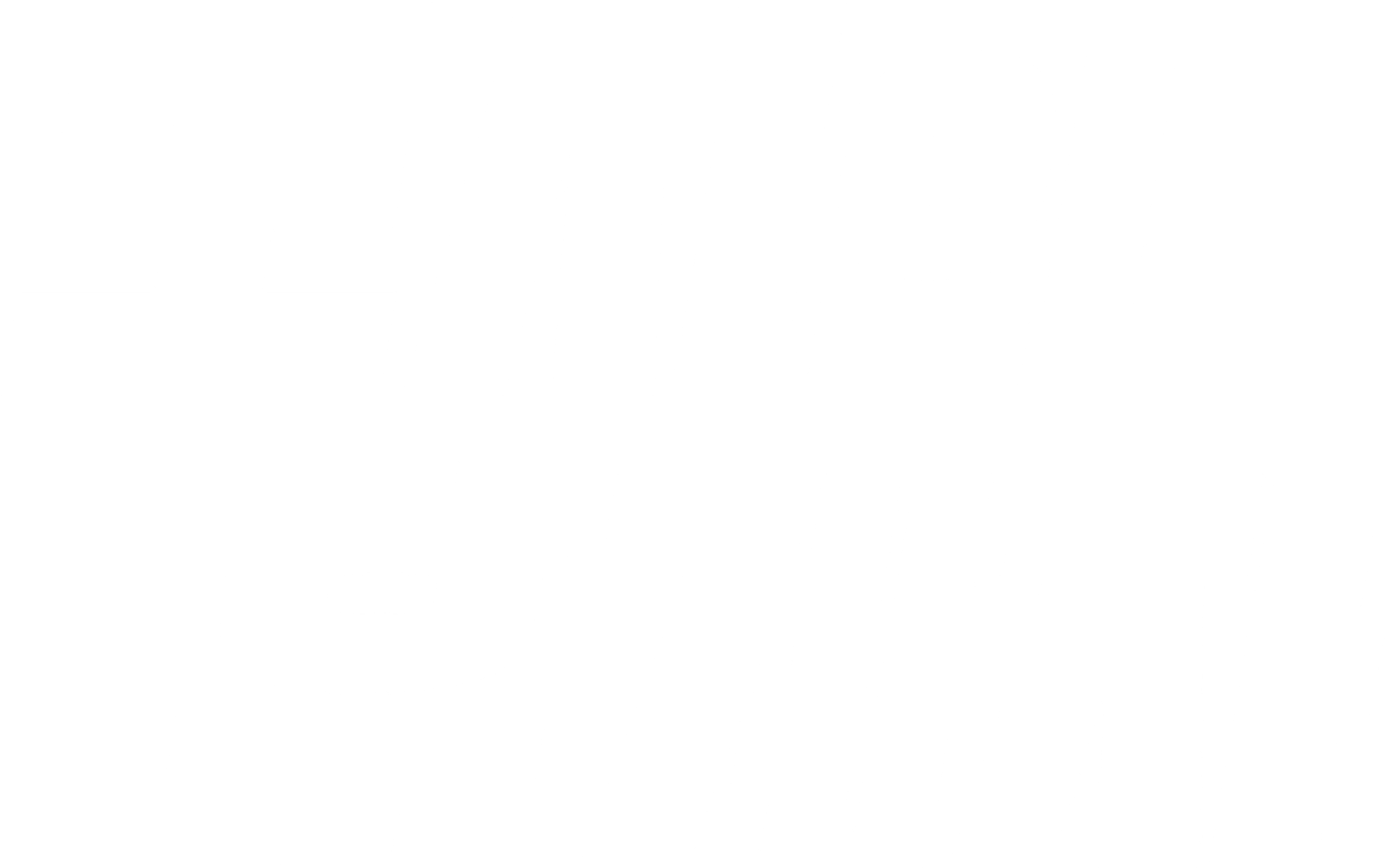 도시의 후계자
