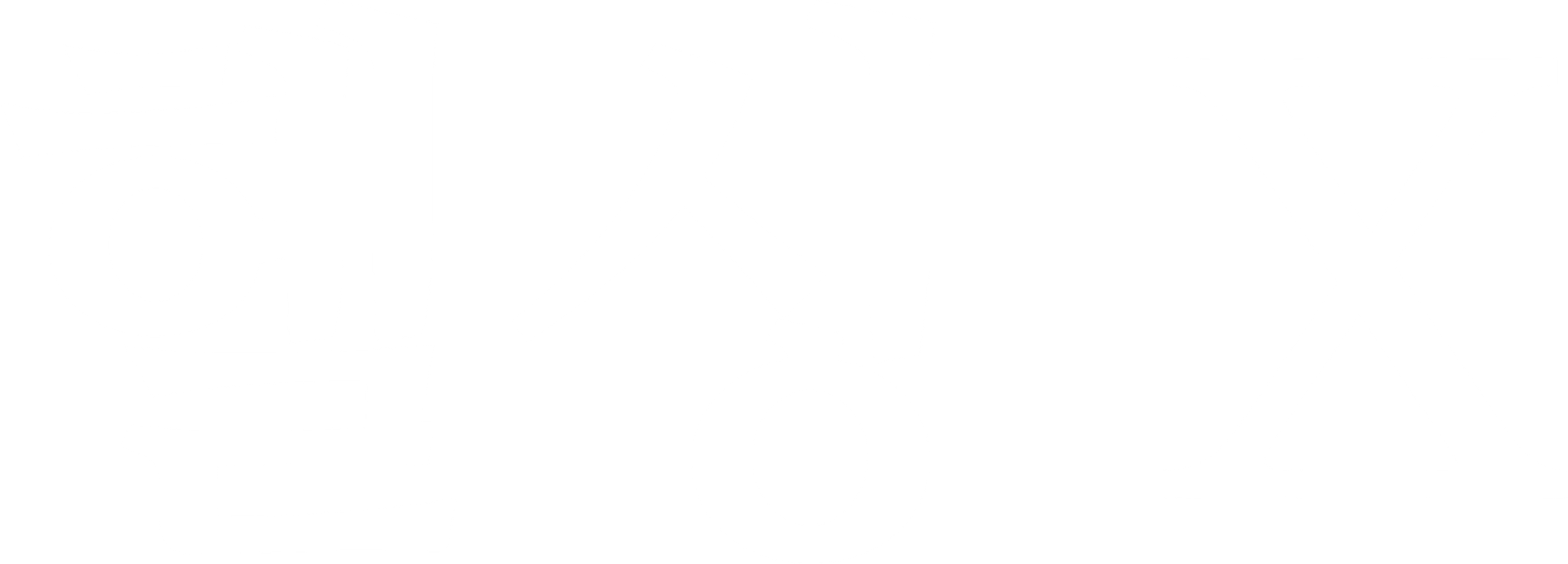 헬싱 X