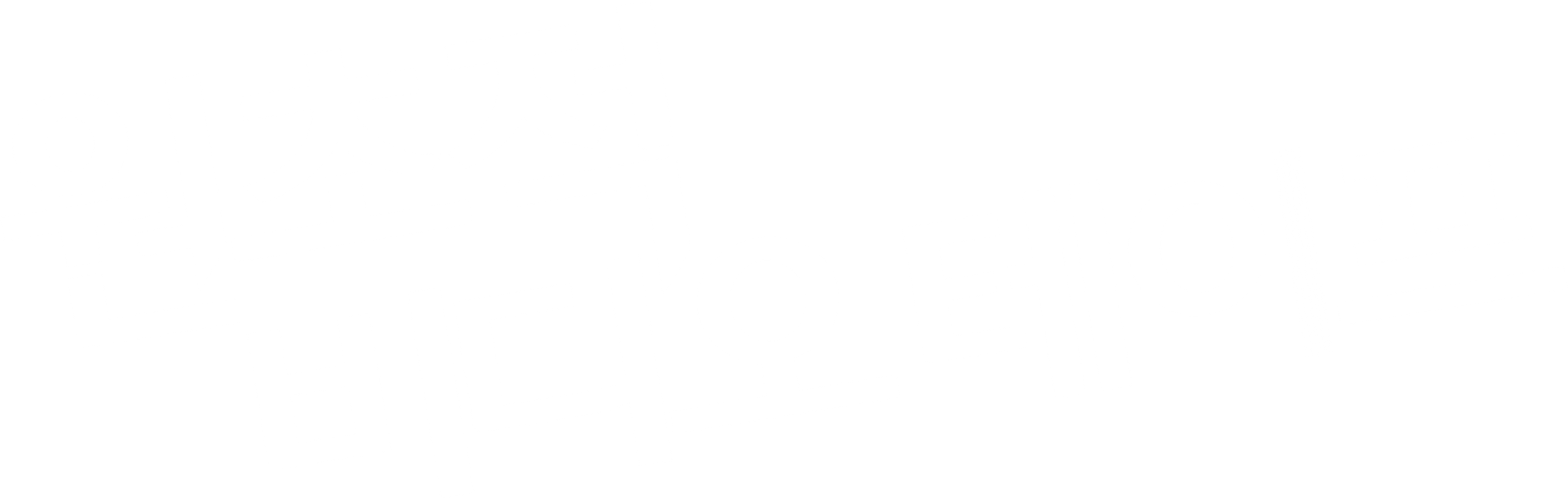 원초적 비디오 테이프