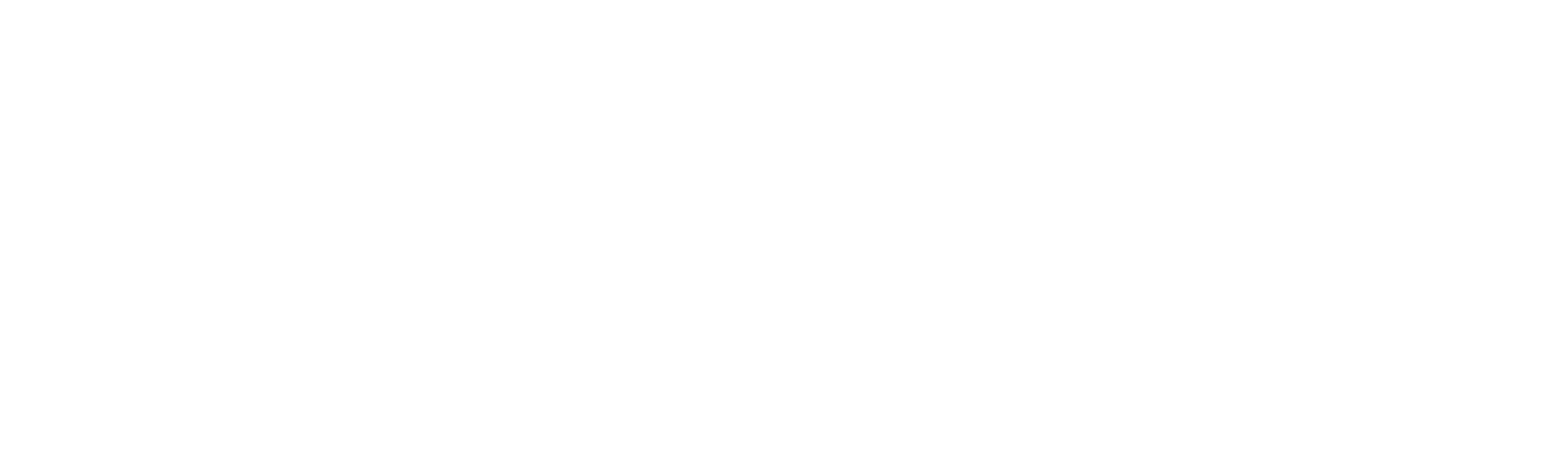 닌자정사