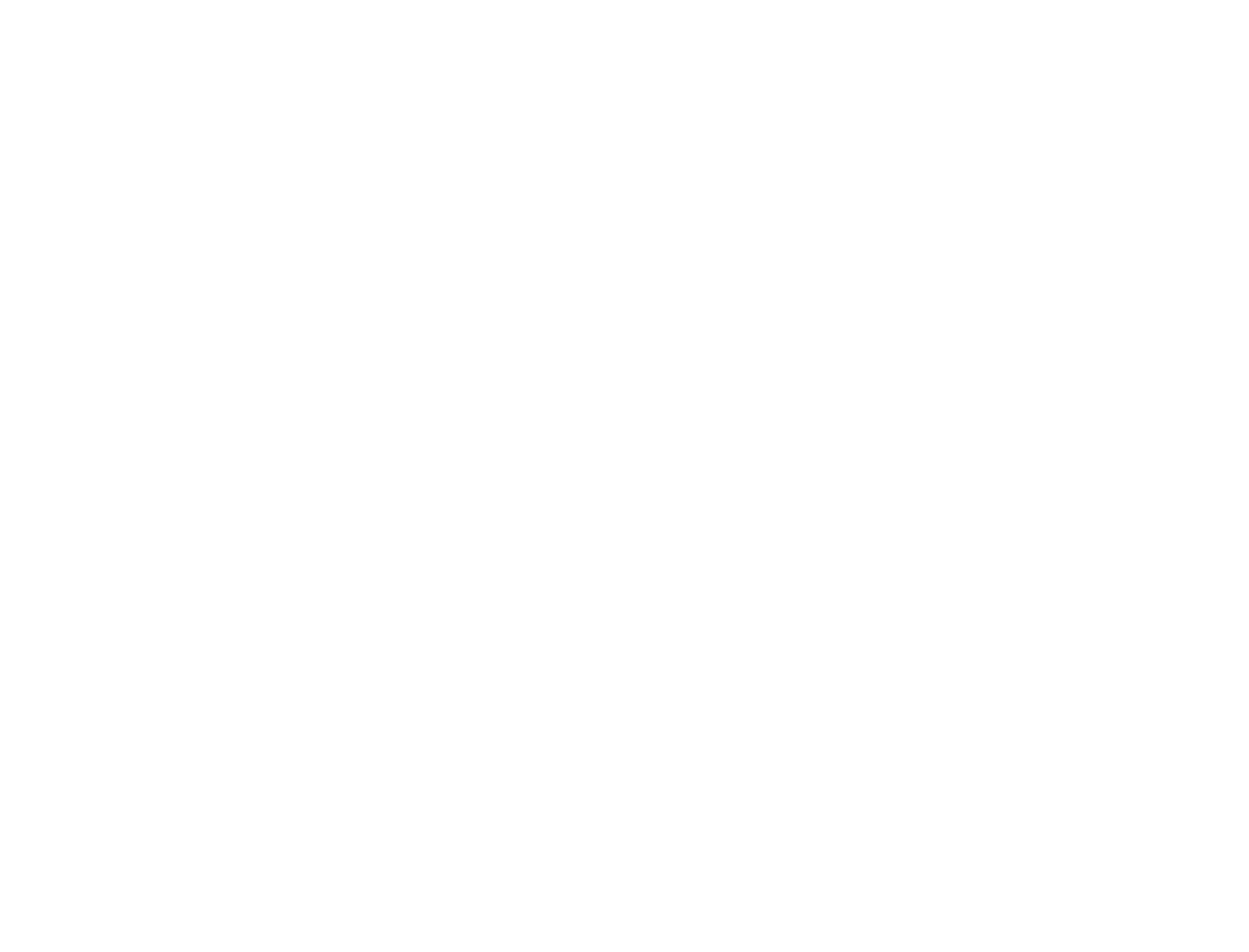 백야행