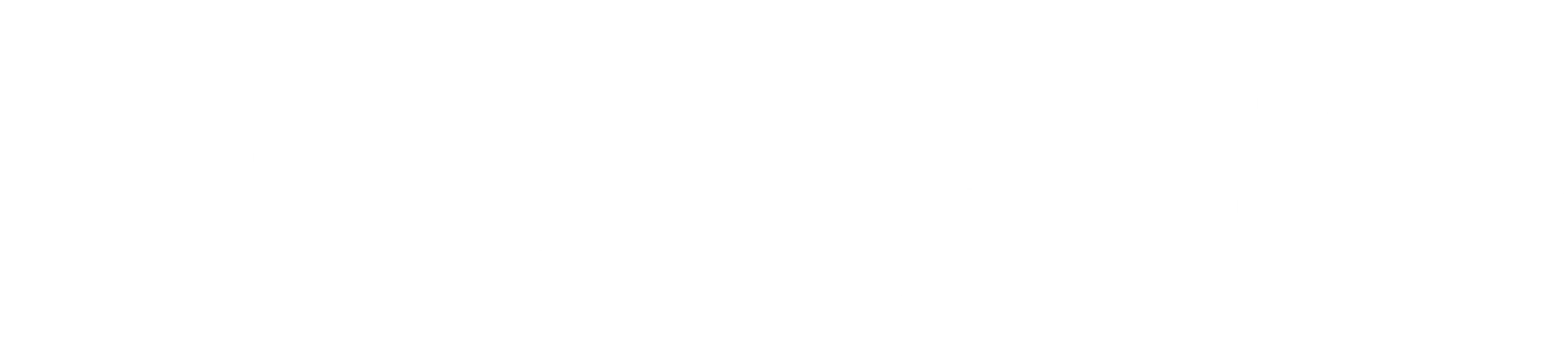싱글라이더