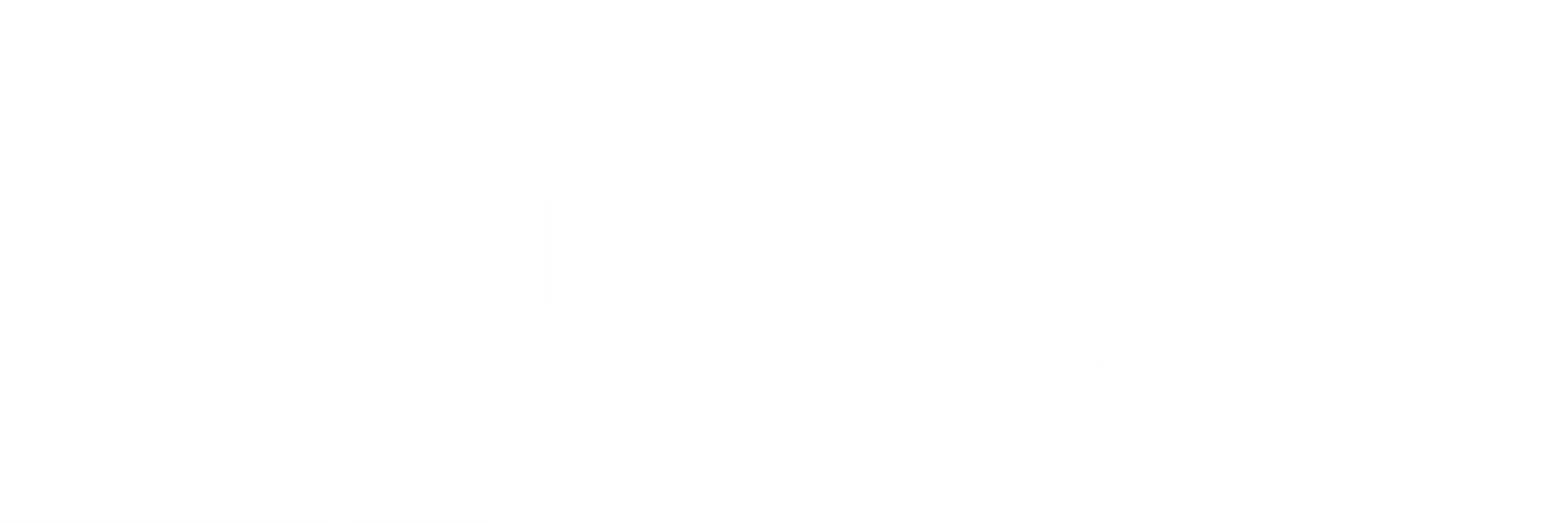 파이톤