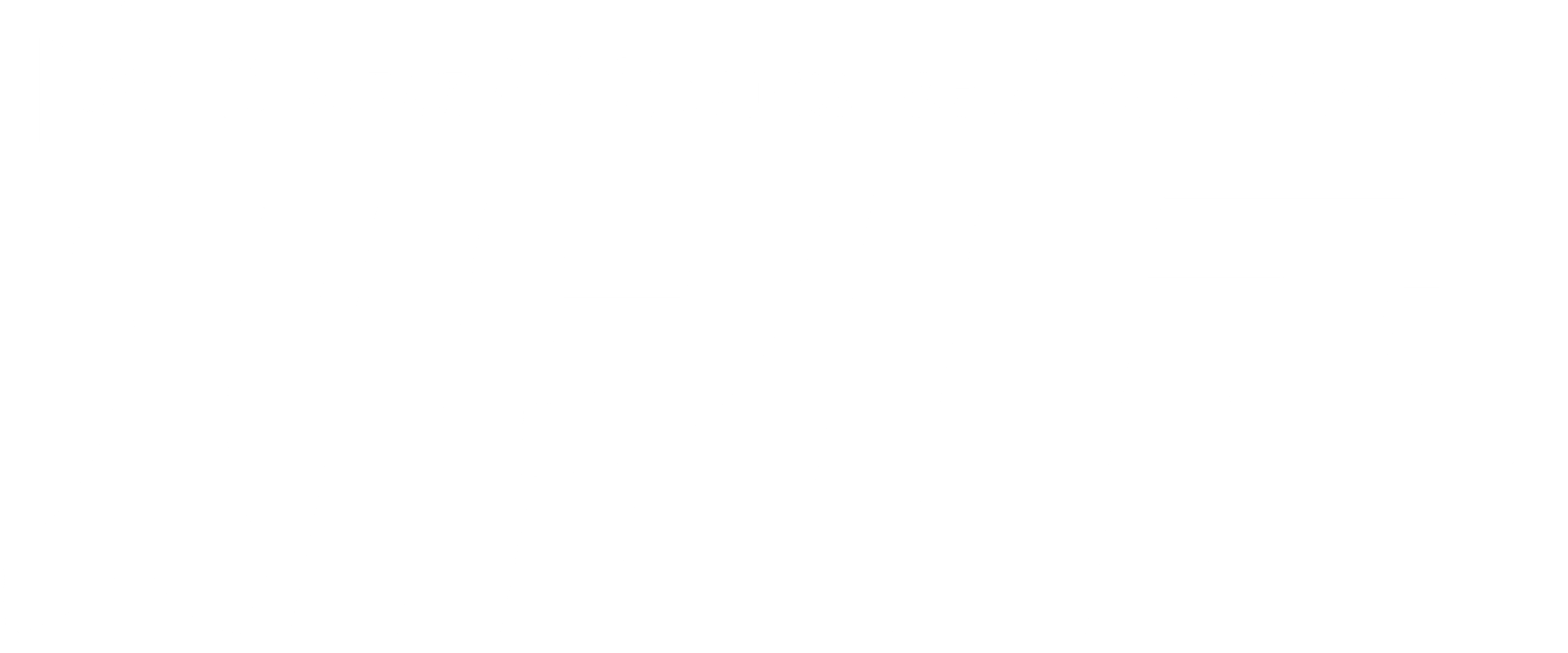 치킨 런