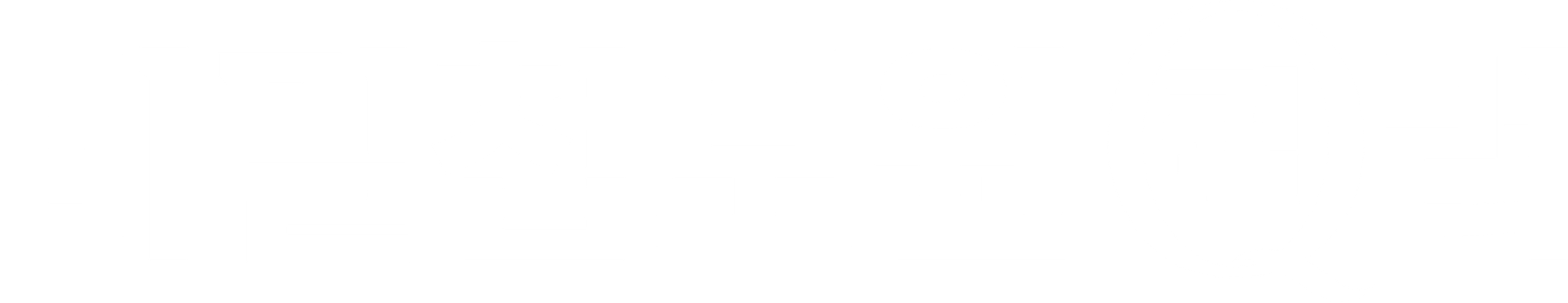 비밀첩보원 퀼러