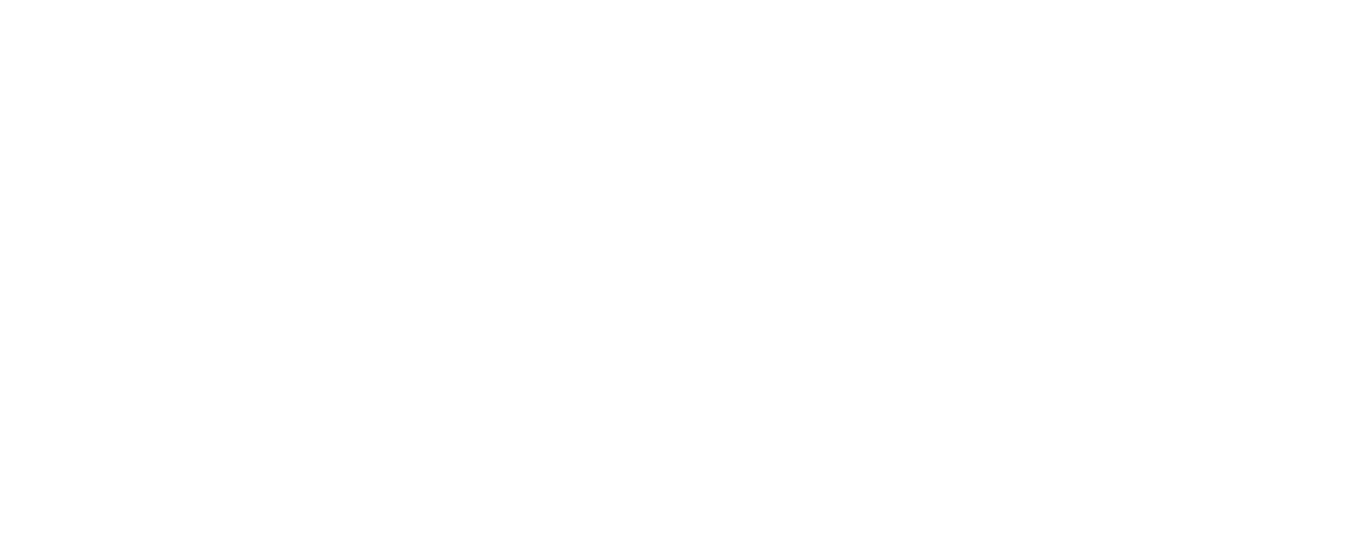 재혼의 기술