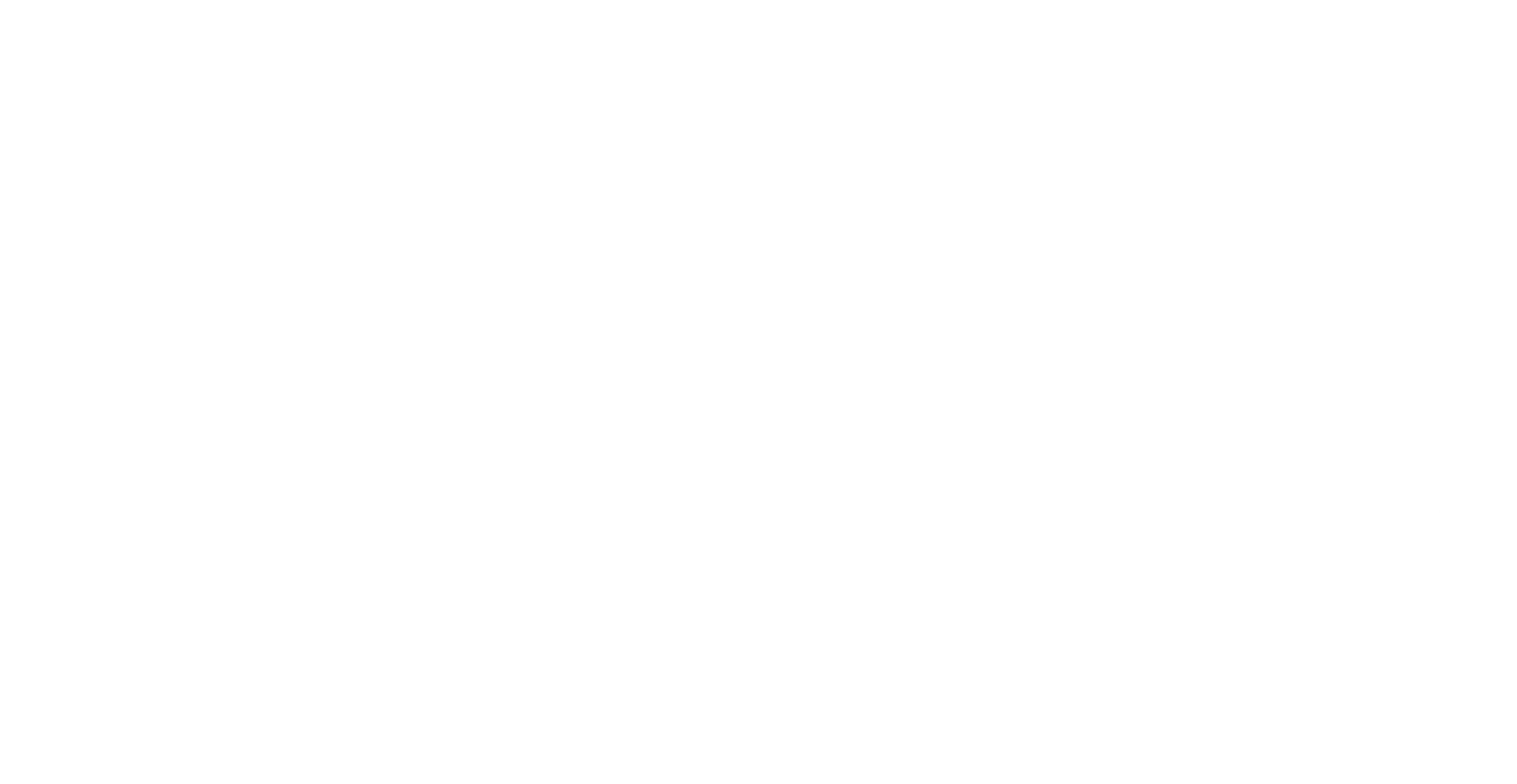 홍천기