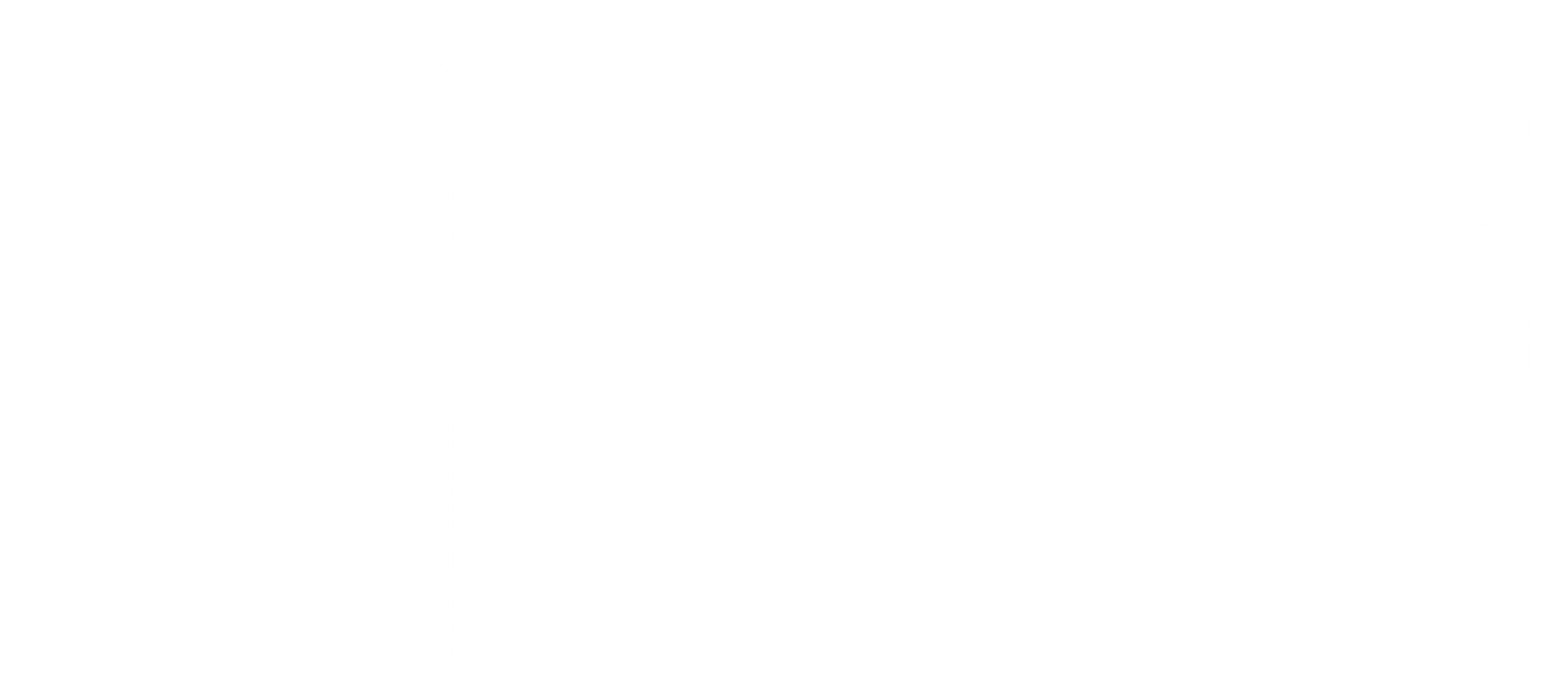 시 선