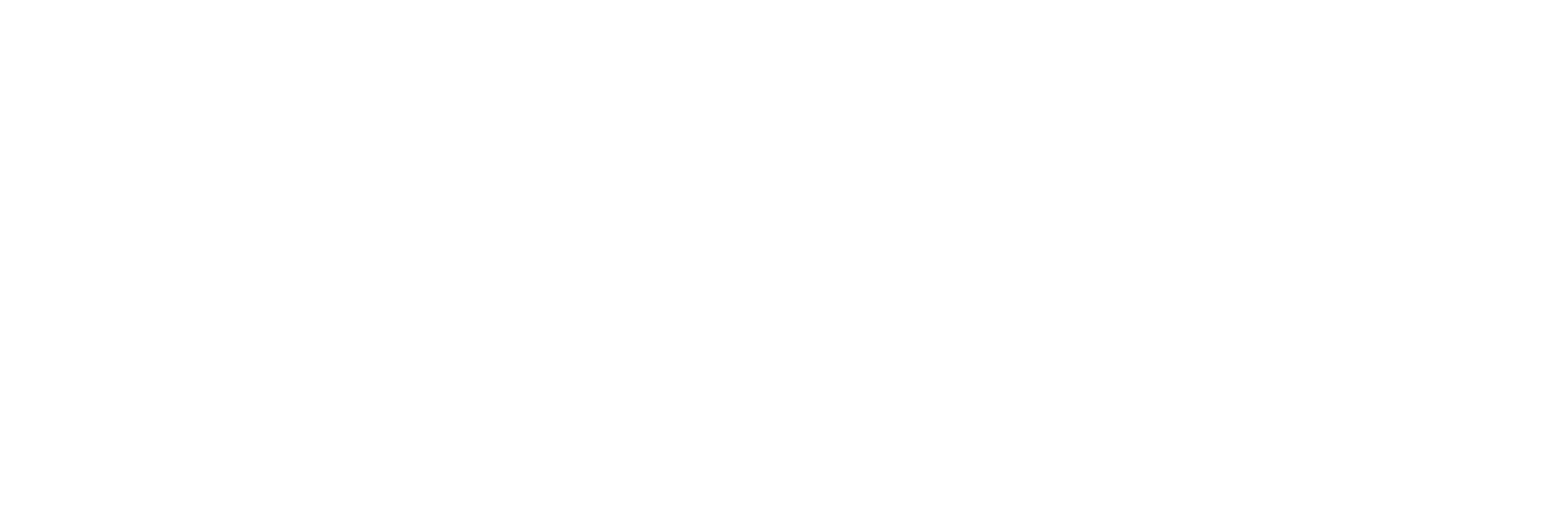 철의 심장을 가진 남자