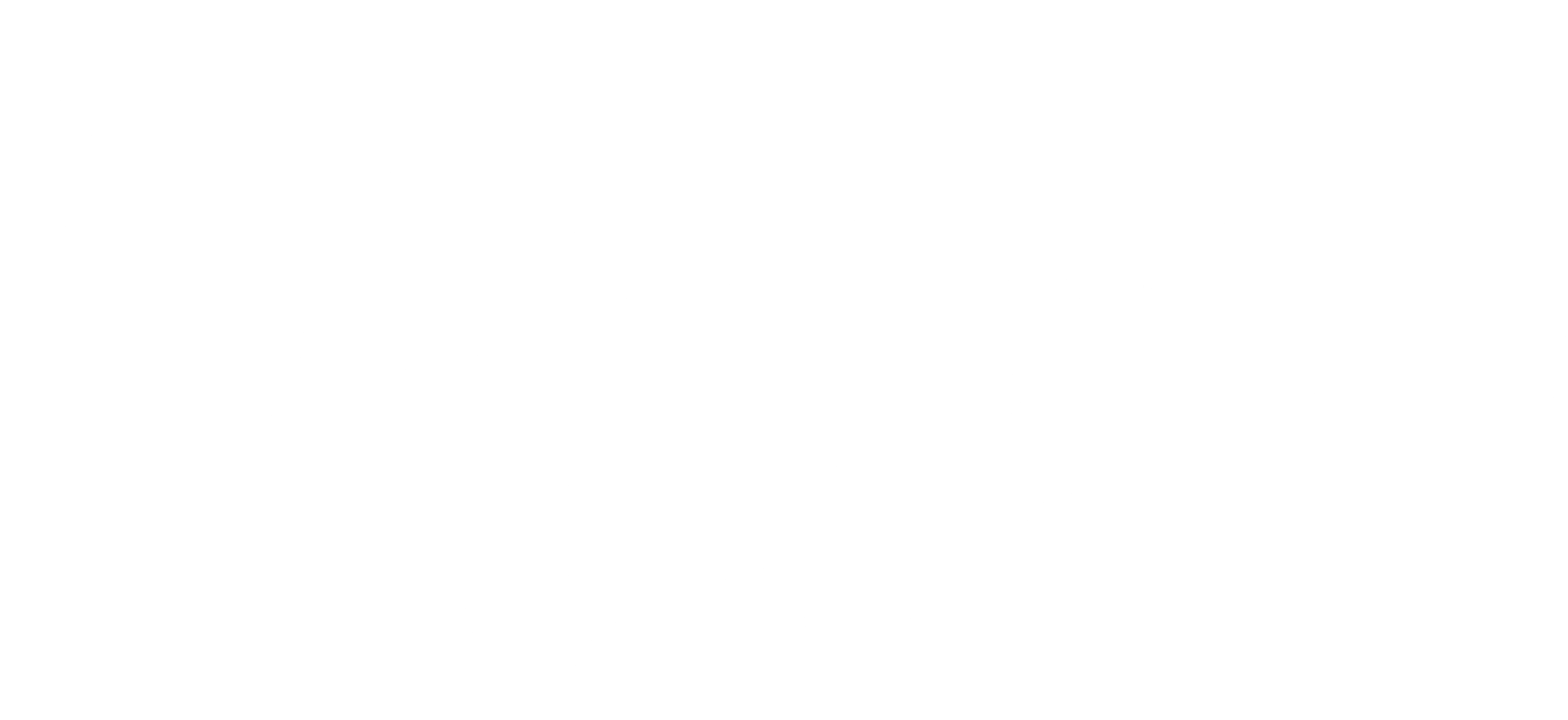 이상한 나라의 데자뷰