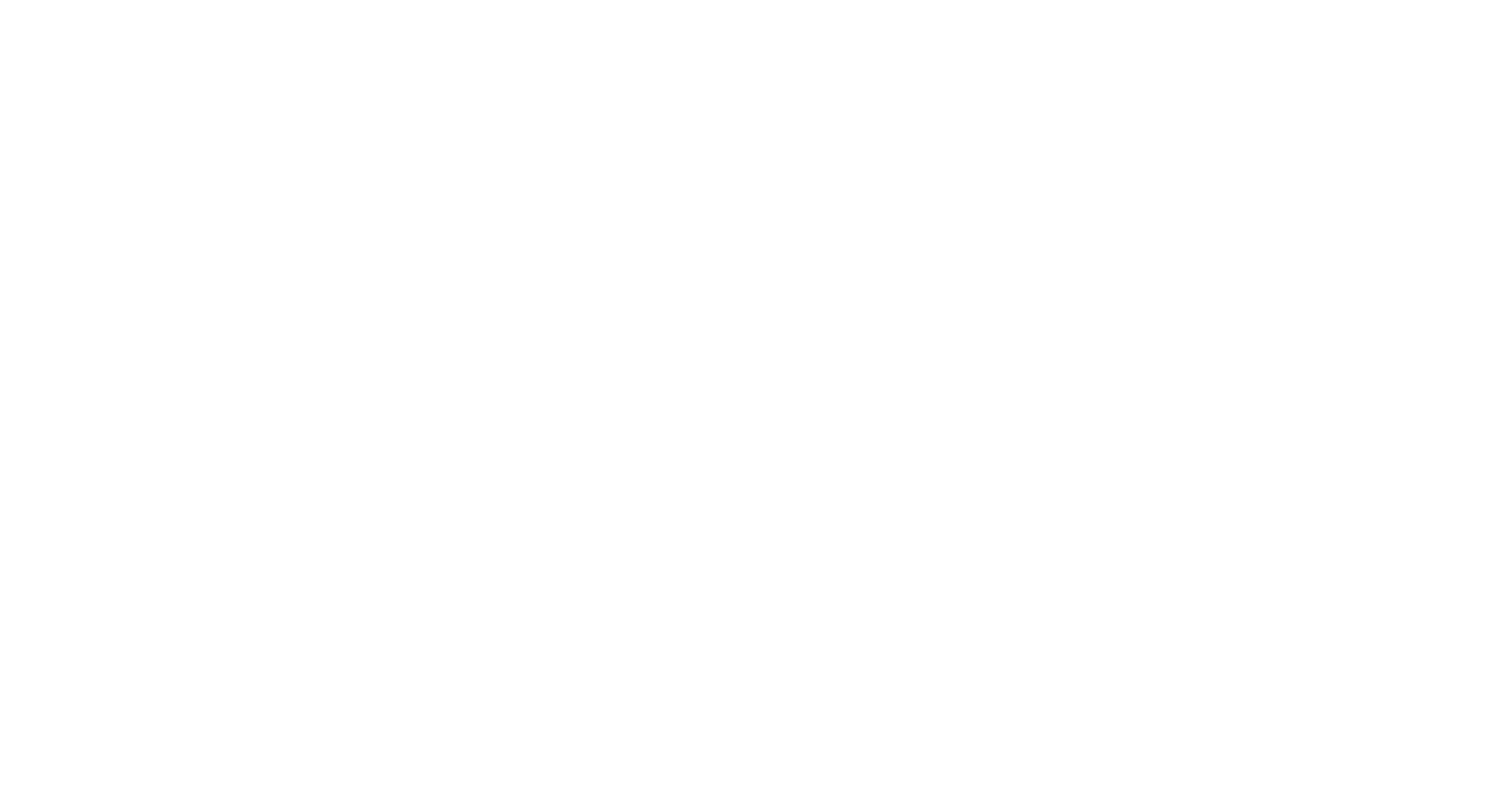 소림사-인자무적